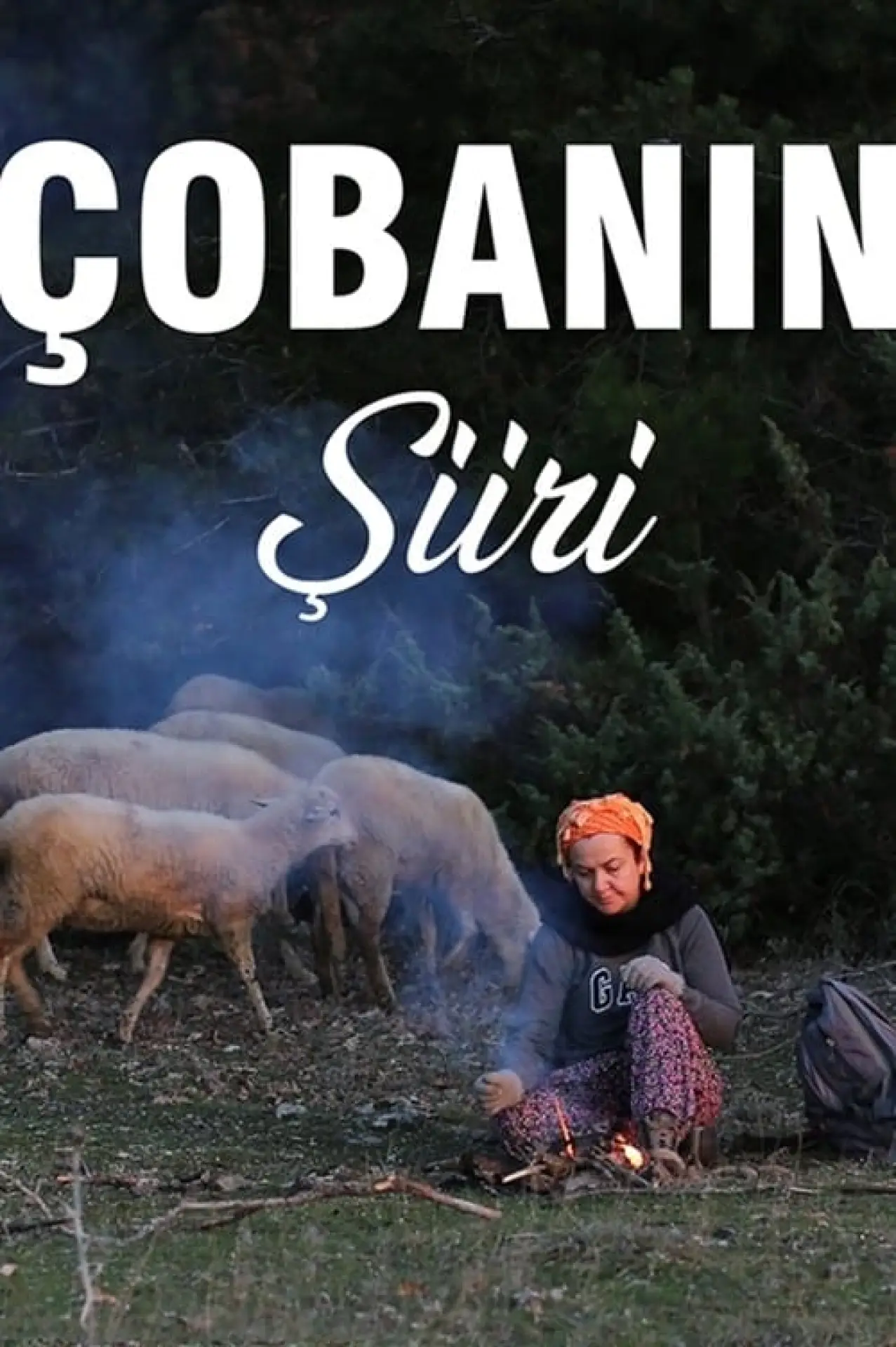 Постер к фильму "Çobanın Şiiri"