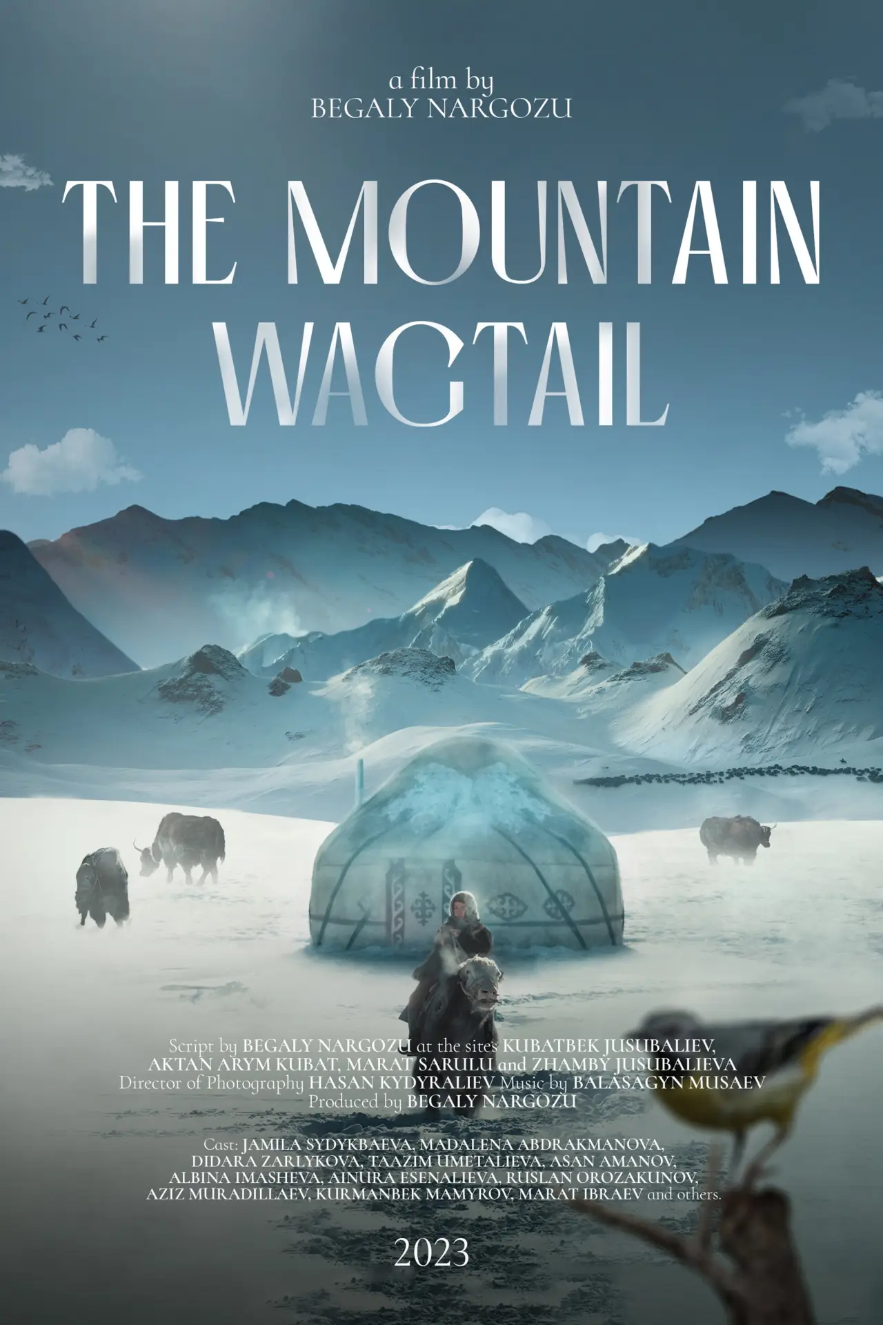 Постер к фильму "The Mountain Wagtail"