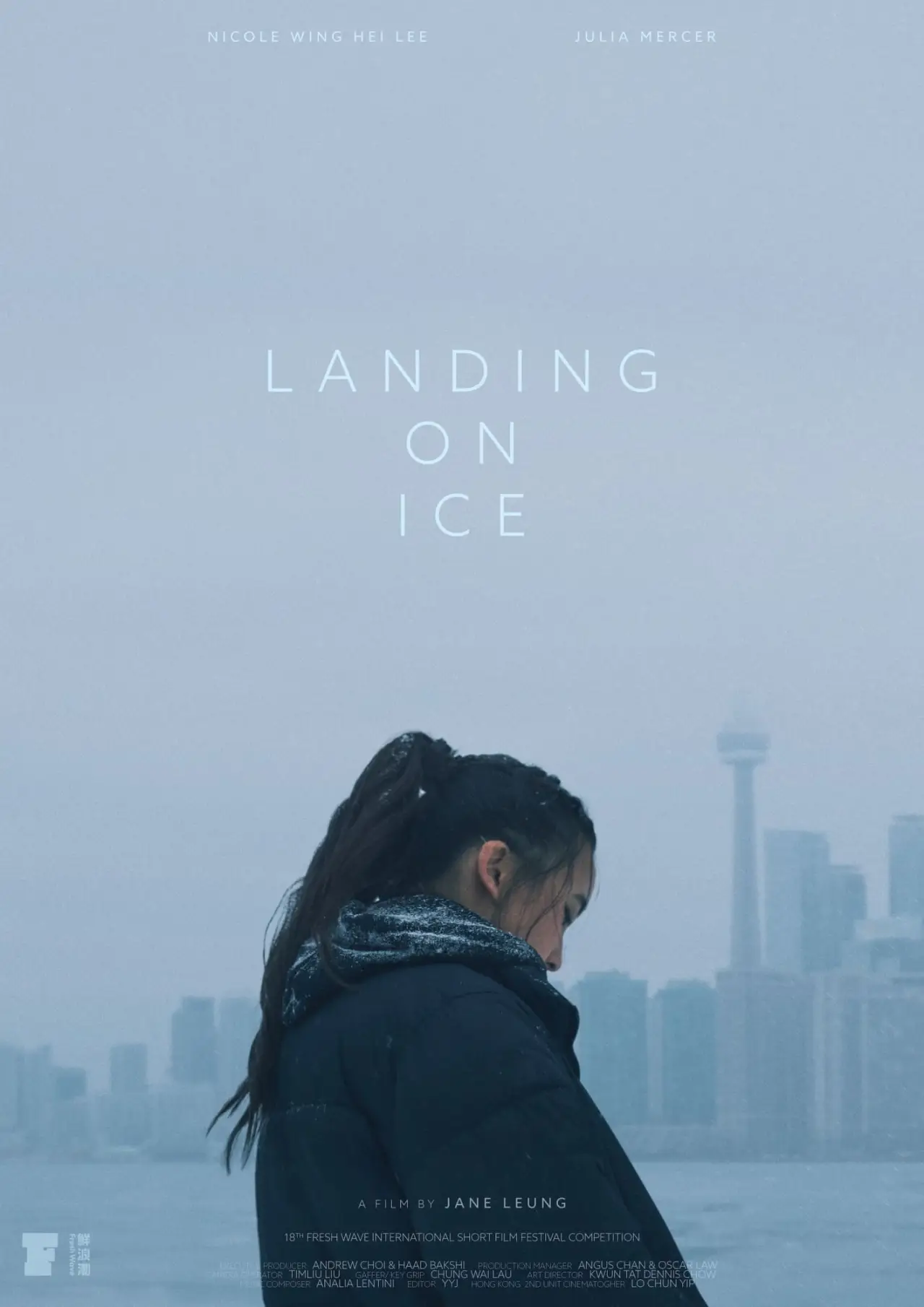 Постер к фильму "Landing On Ice"