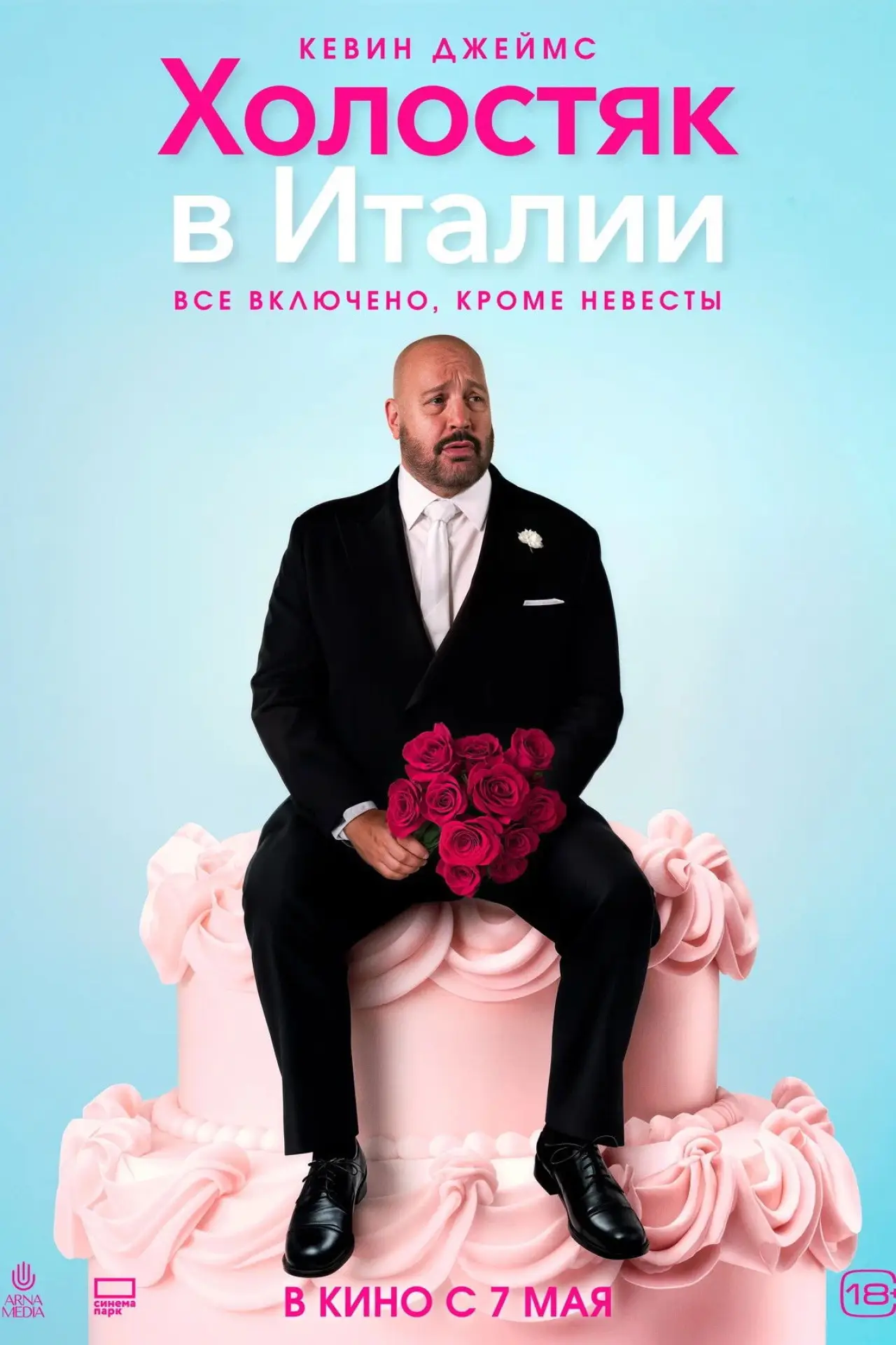 Постер к фильму "Холостяк в Италии"
