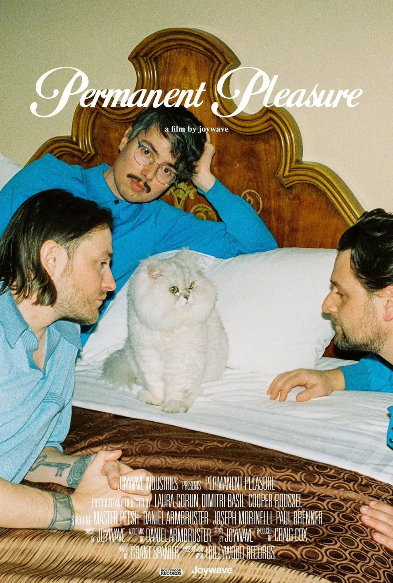 Постер к фильму "Permanent Pleasure"