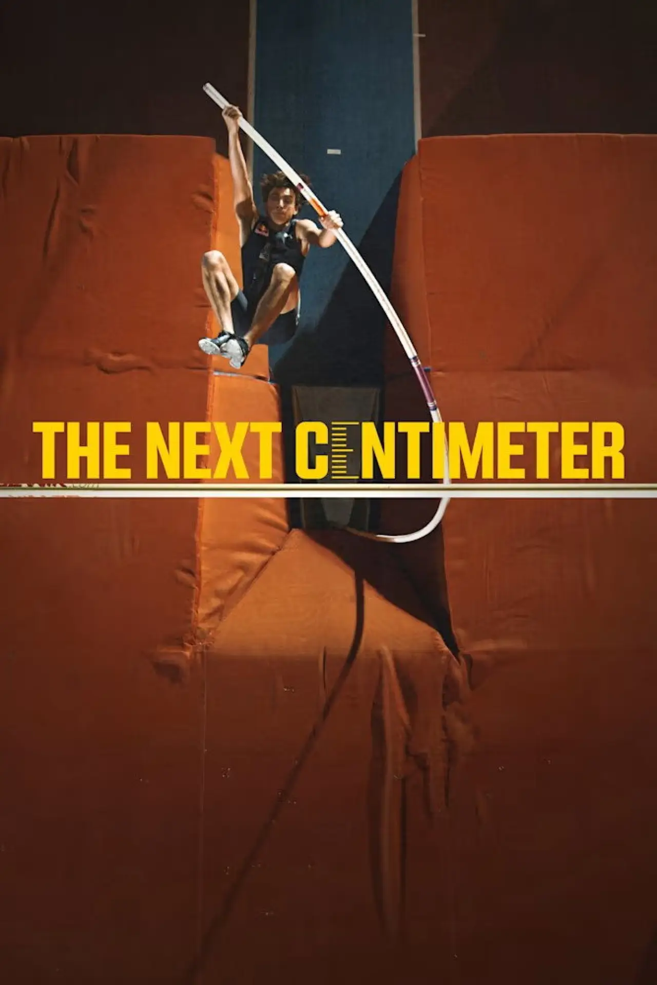 Постер к фильму "The Next Centimeter"