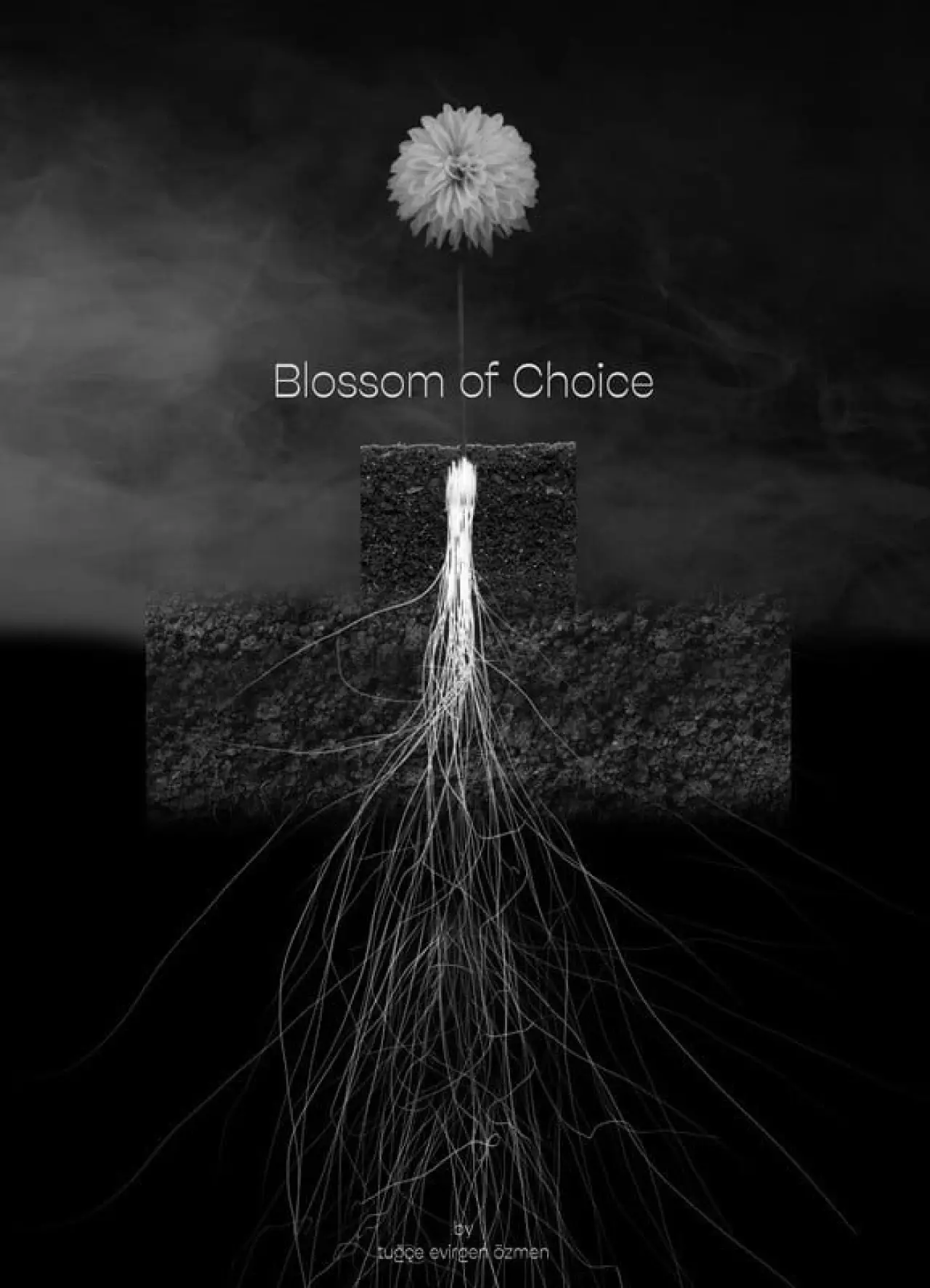 Постер к фильму "Blossom of Choice"