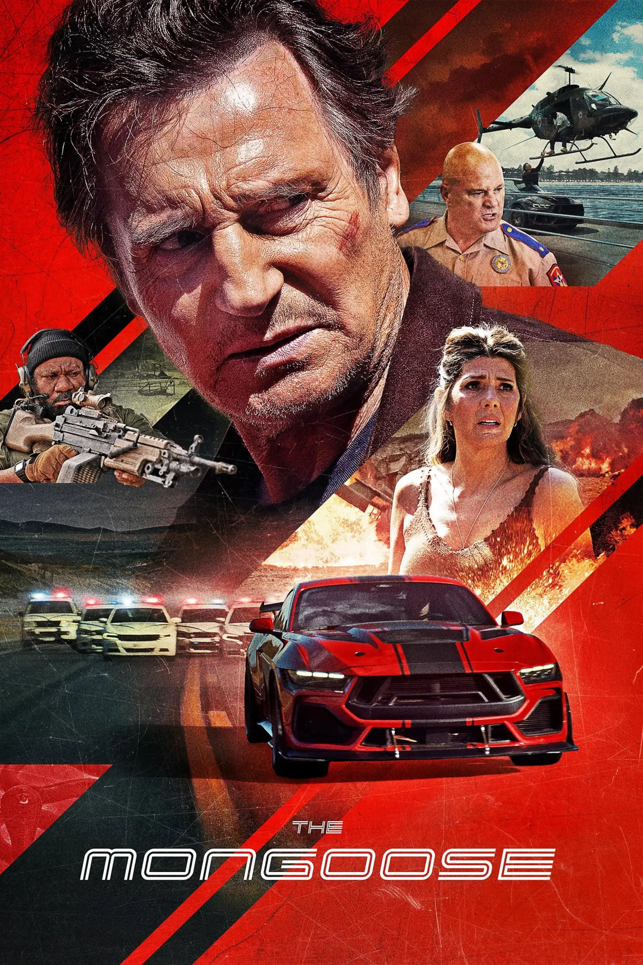 Постер к фильму "The Mongoose"