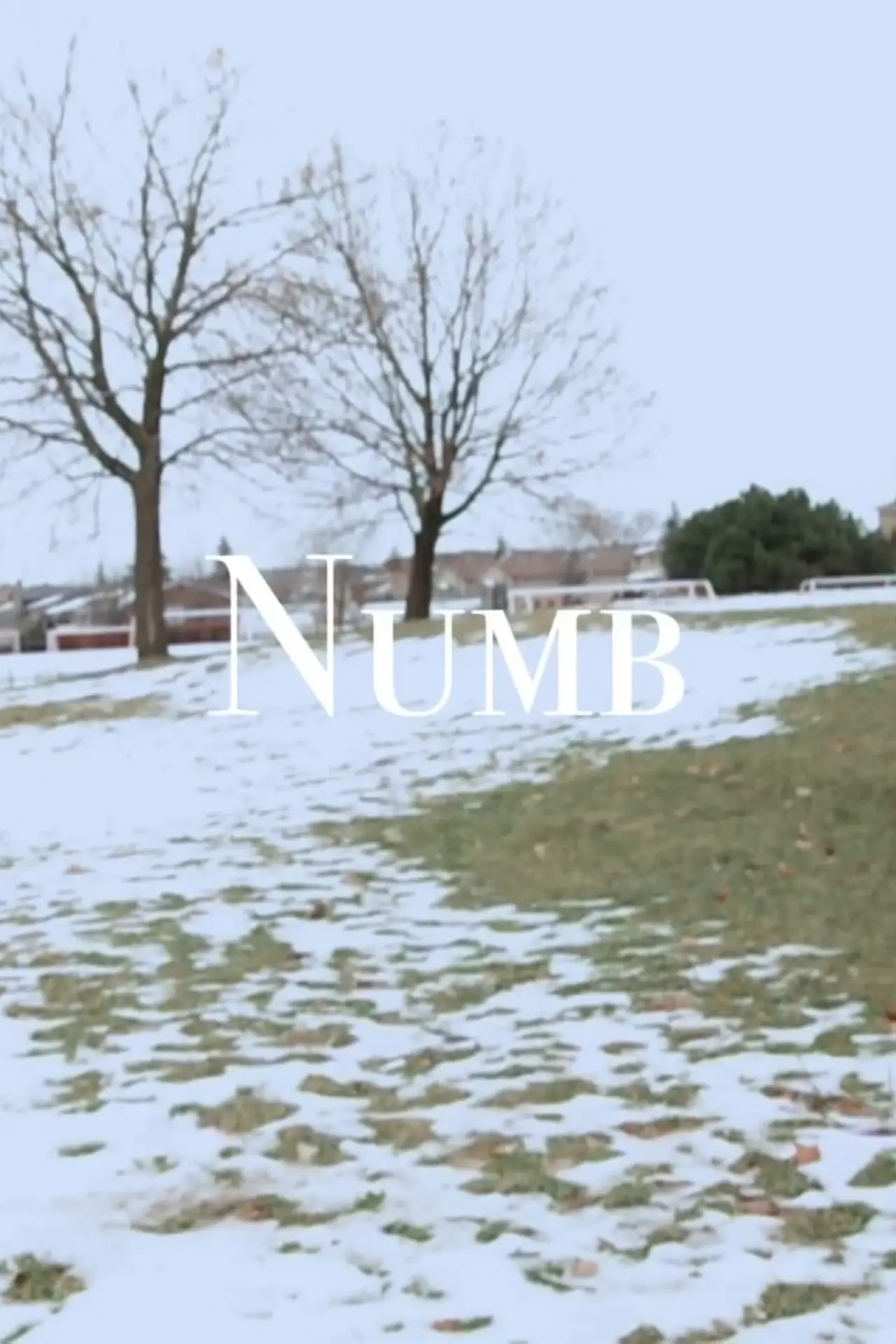 Постер к фильму "Numb"