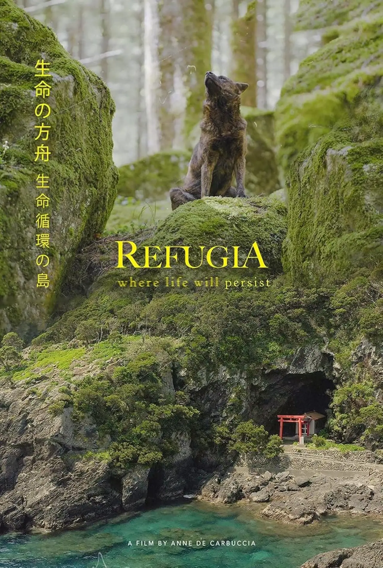 Постер к фильму "Refugia, Where life will persist"