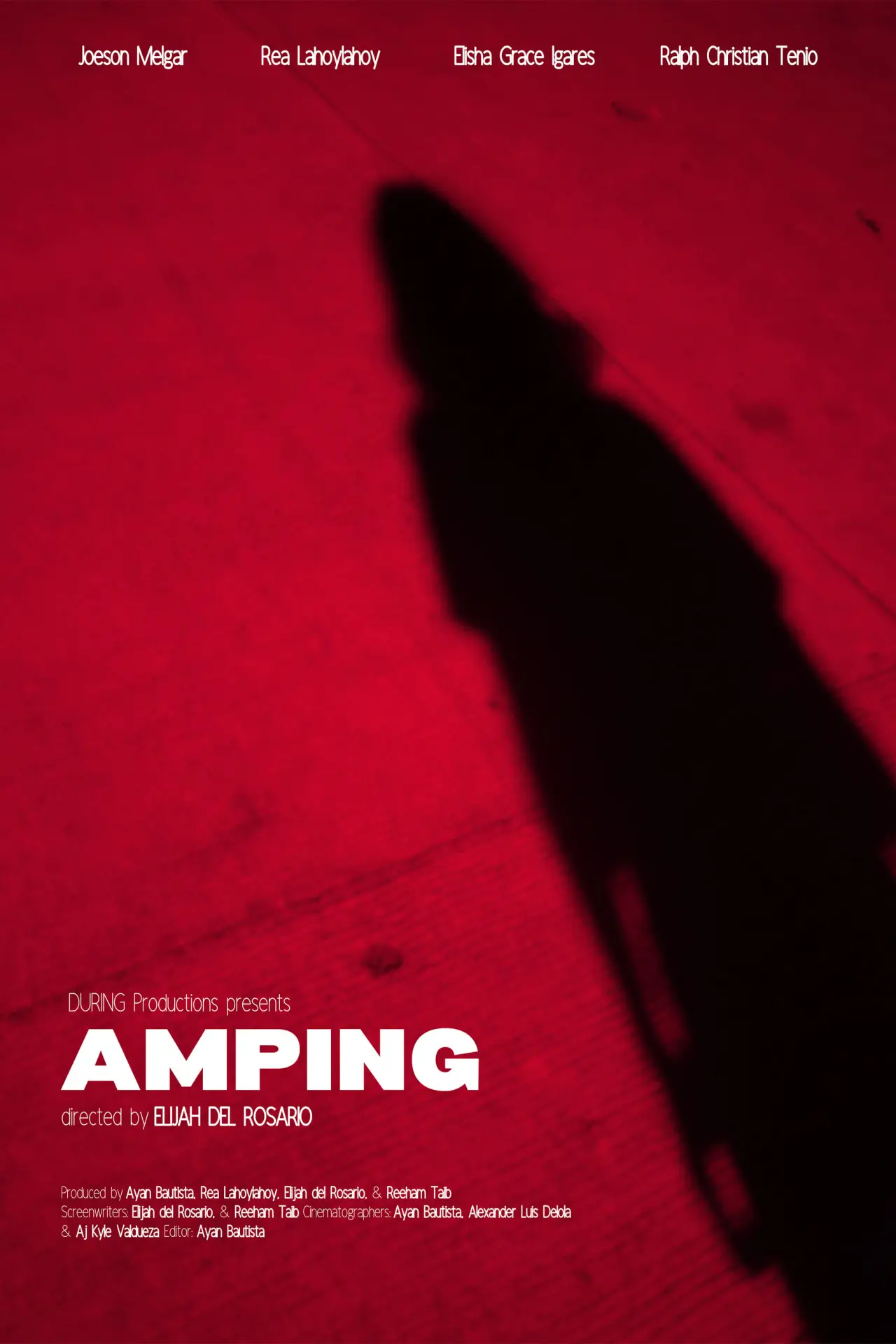 Постер к фильму "Amping"
