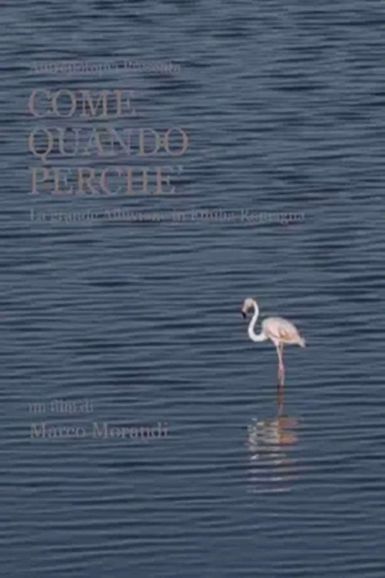 Постер к фильму "Come quando perché"