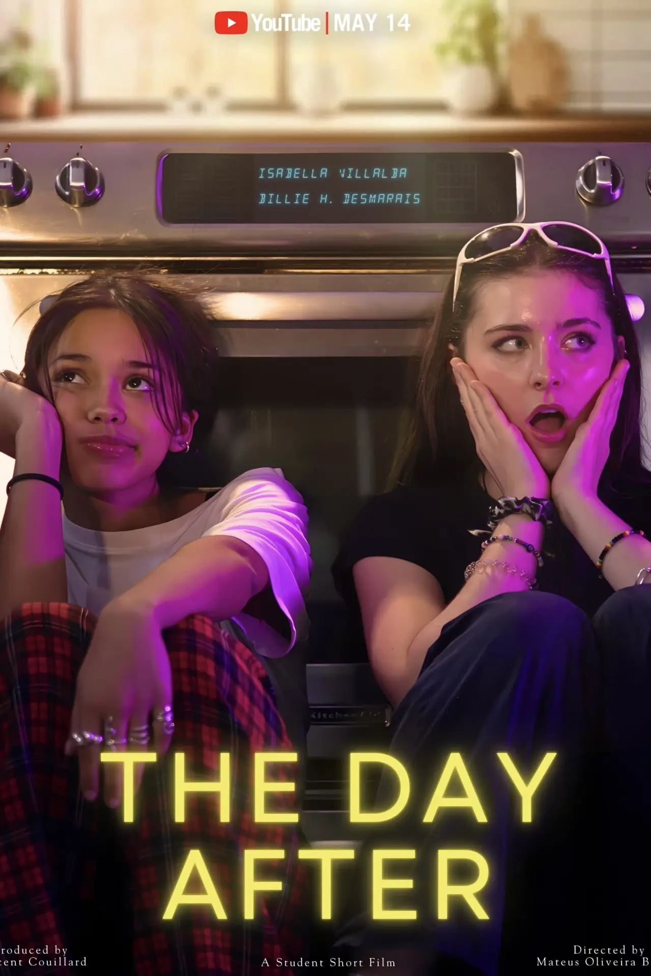 Постер к фильму "The Day After"