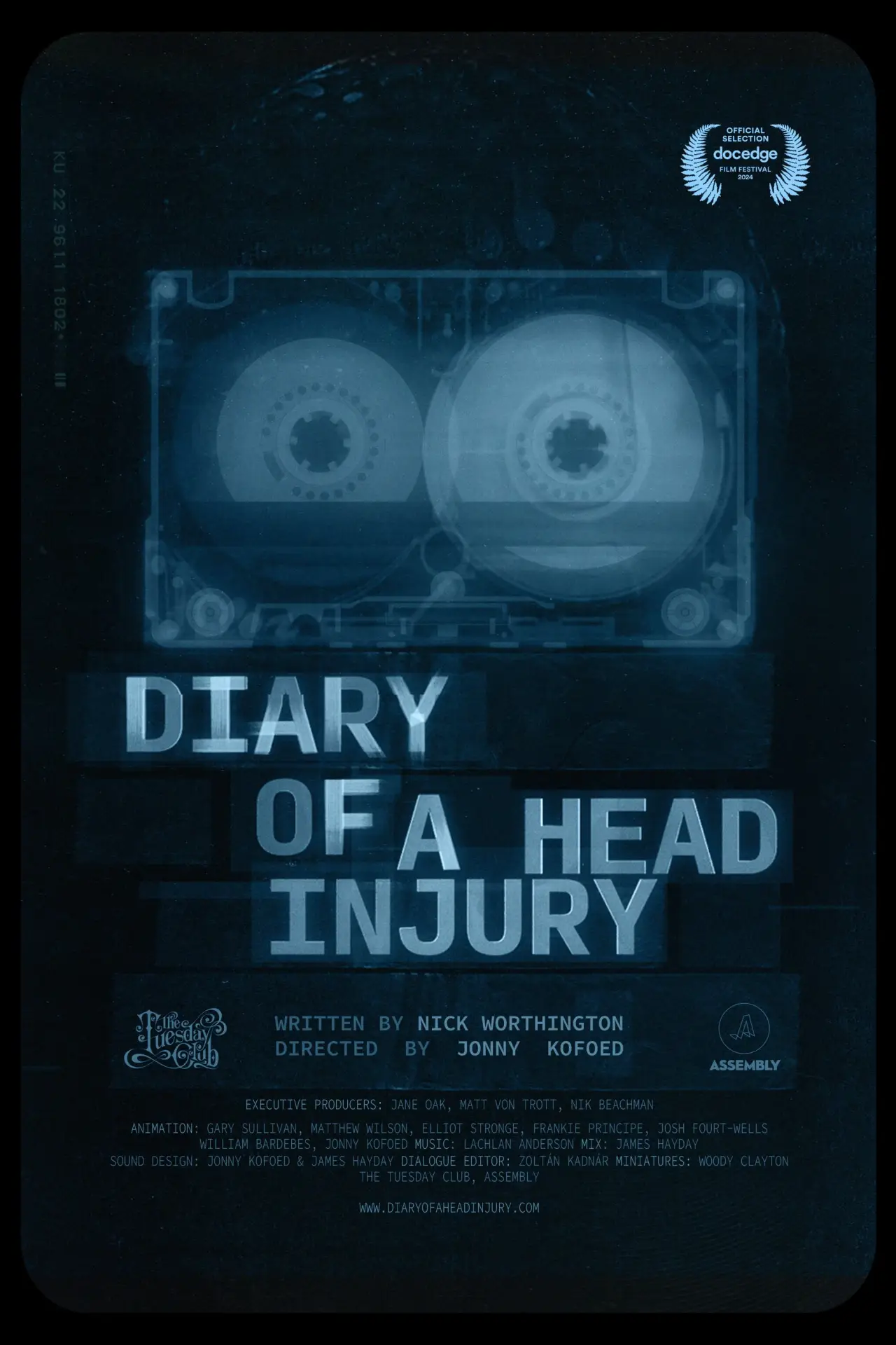 Постер к фильму "Diary of a Head Injury"