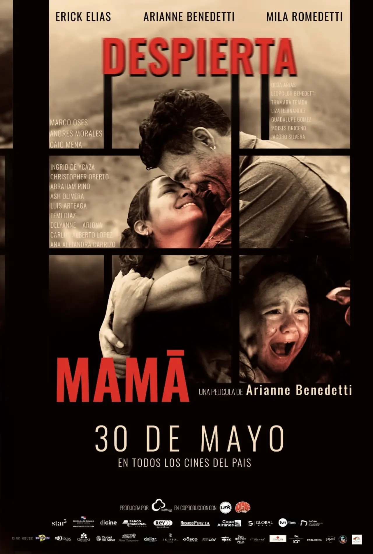 Постер к фильму "Despierta mamá"
