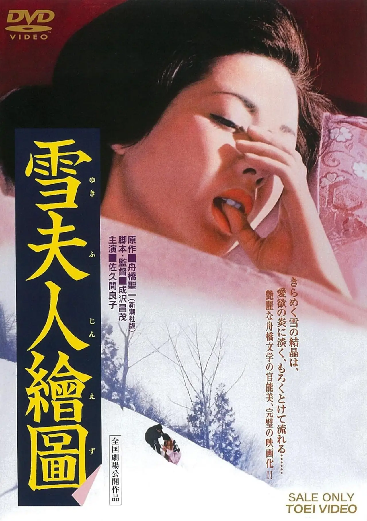 Постер к фильму "雪夫人繪圖"