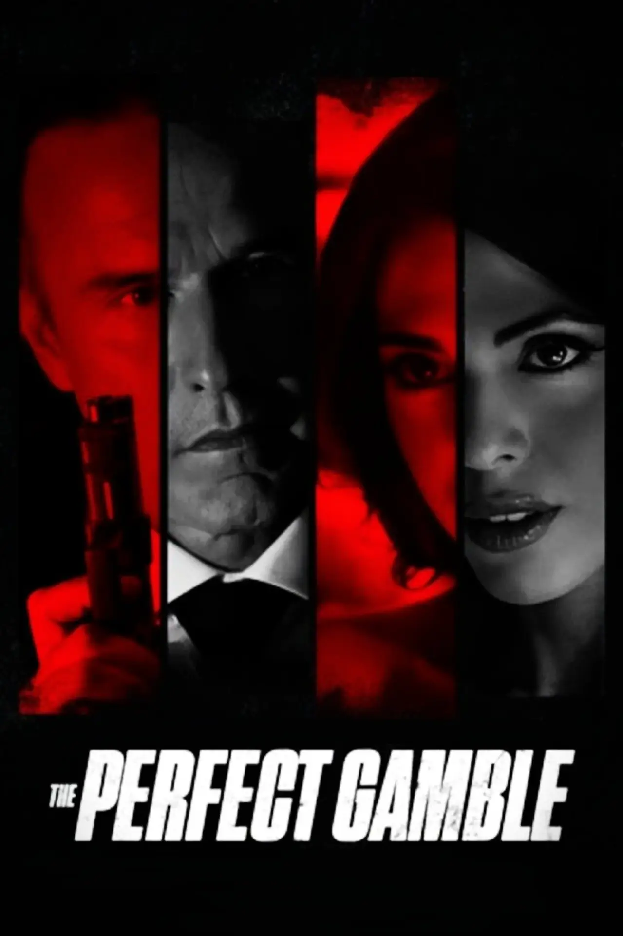 Постер к фильму "The Perfect Gamble"
