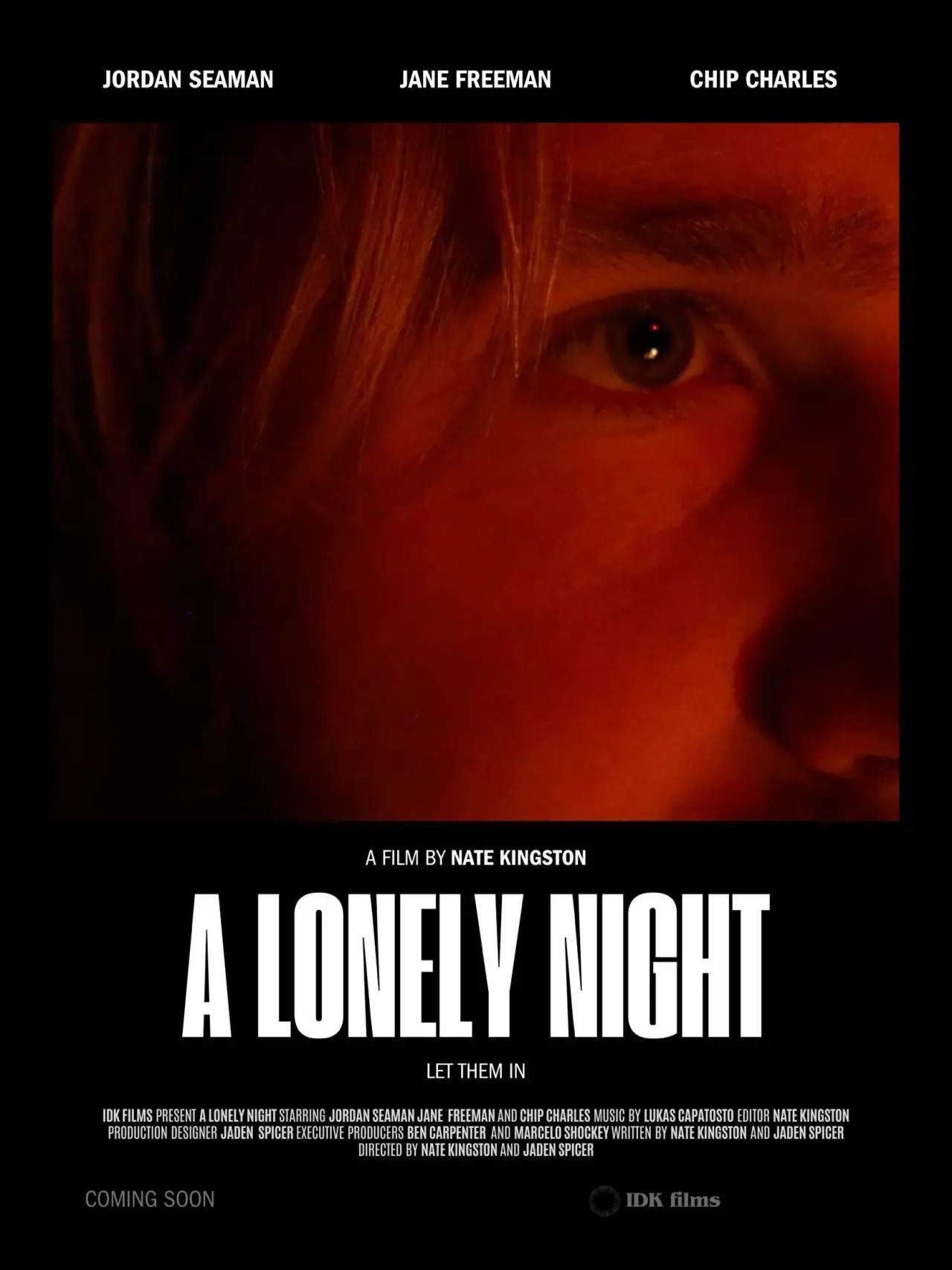 Постер к фильму "a lonely night"