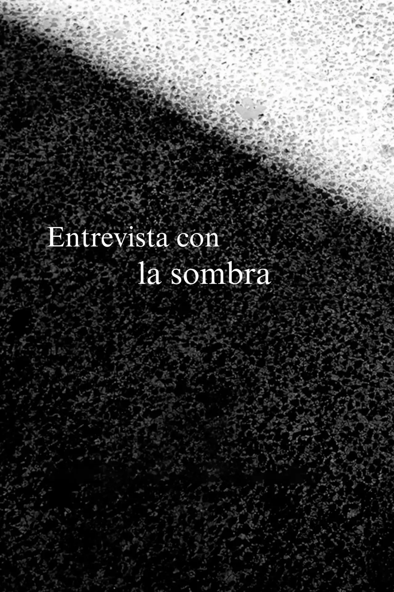 Постер к фильму "Entrevista con la sombra"