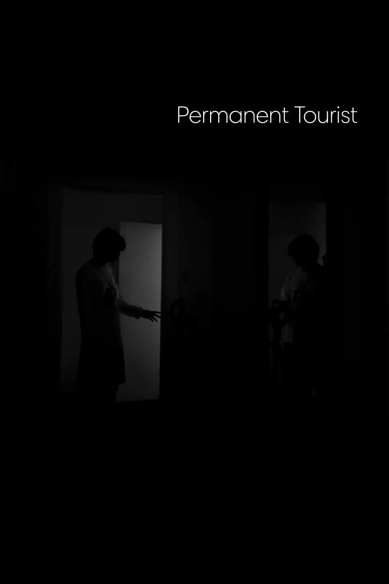 Постер к фильму "Permanent Tourist"