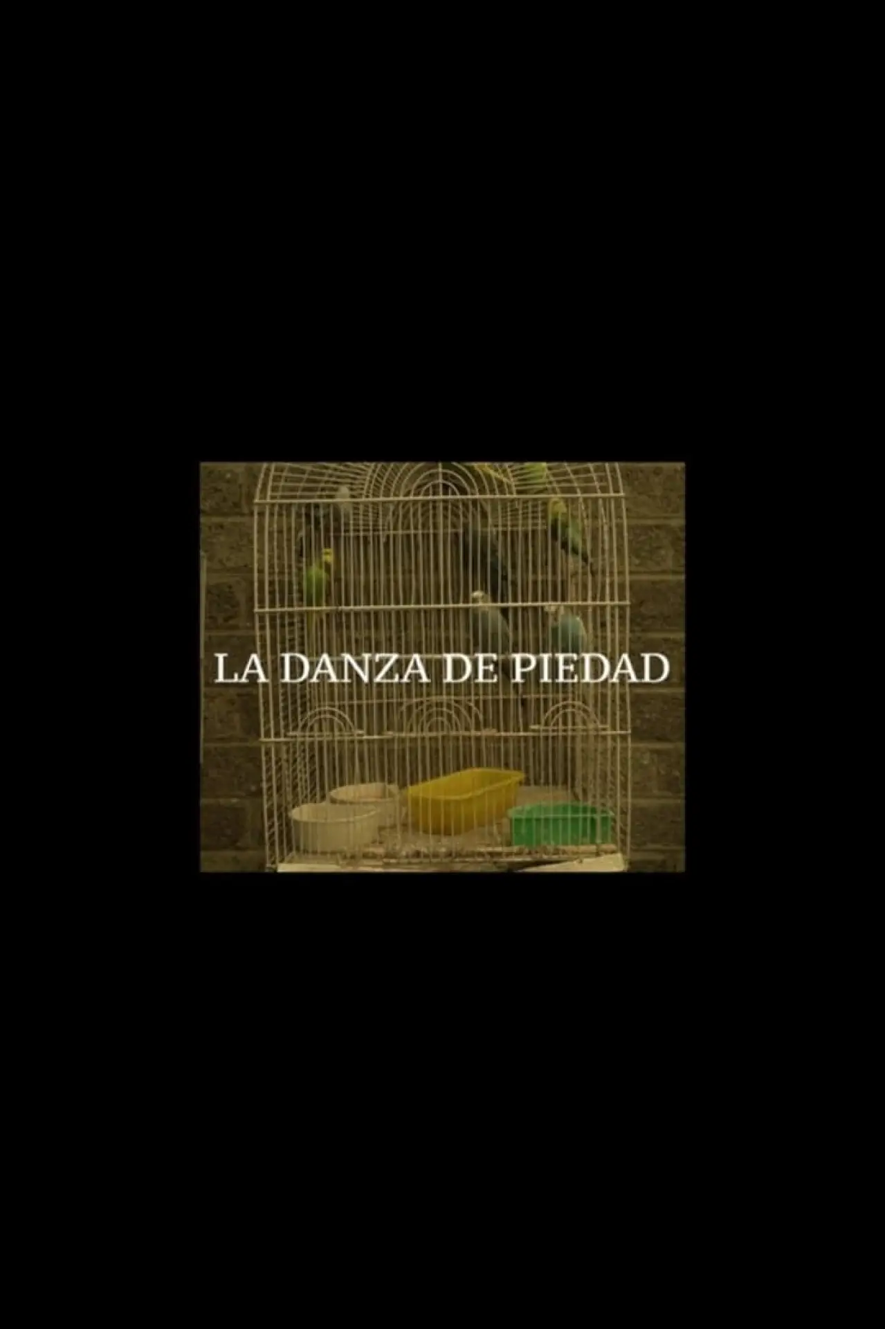 Постер к фильму "La Danza de Piedad"