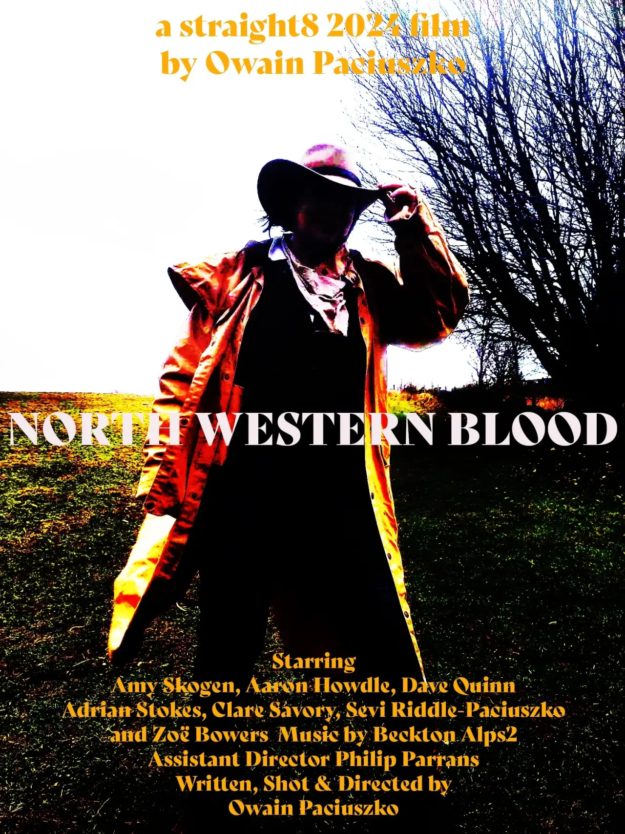 Постер к фильму "North Western Blood"