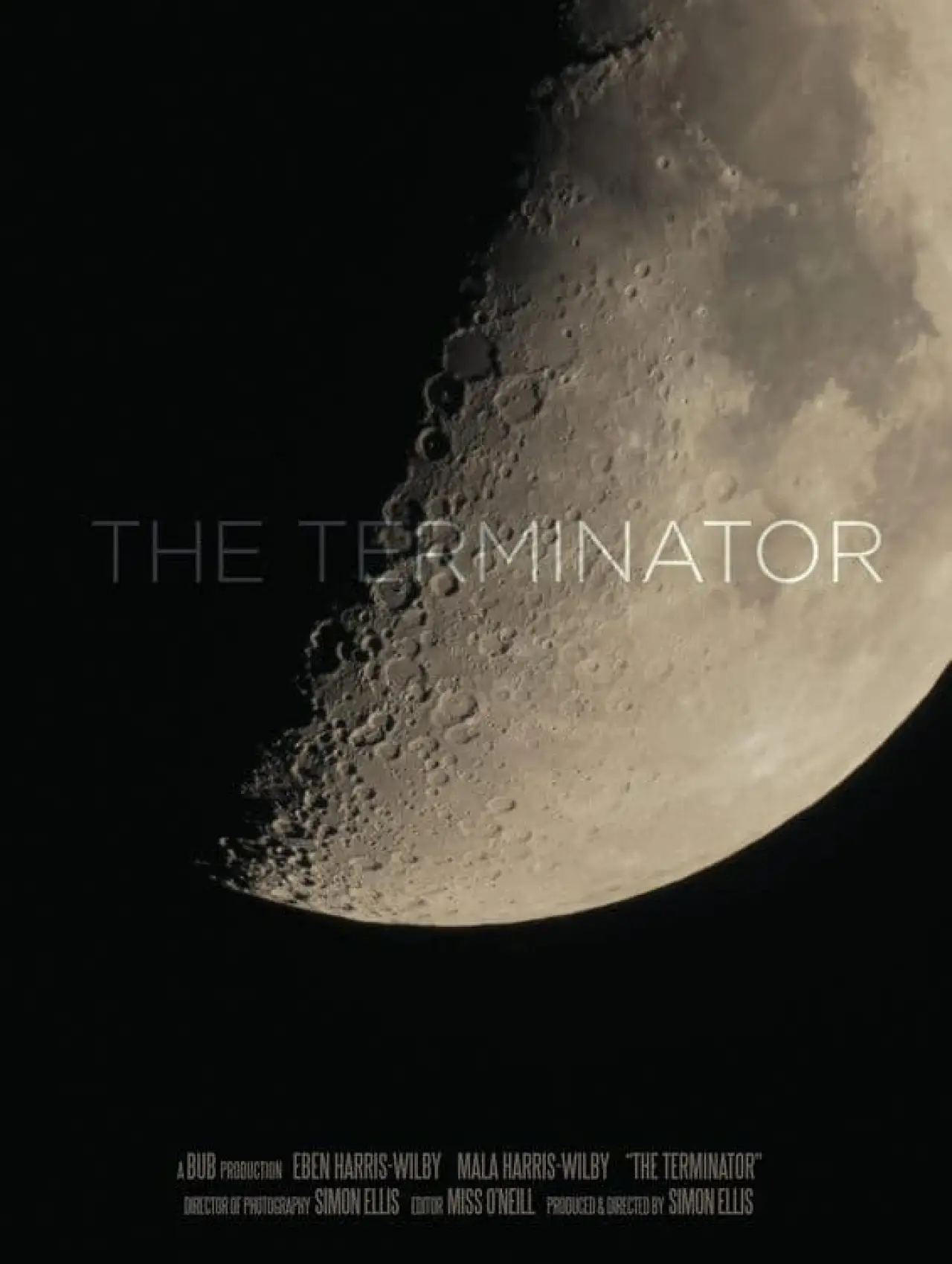 Постер к фильму "The Terminator"