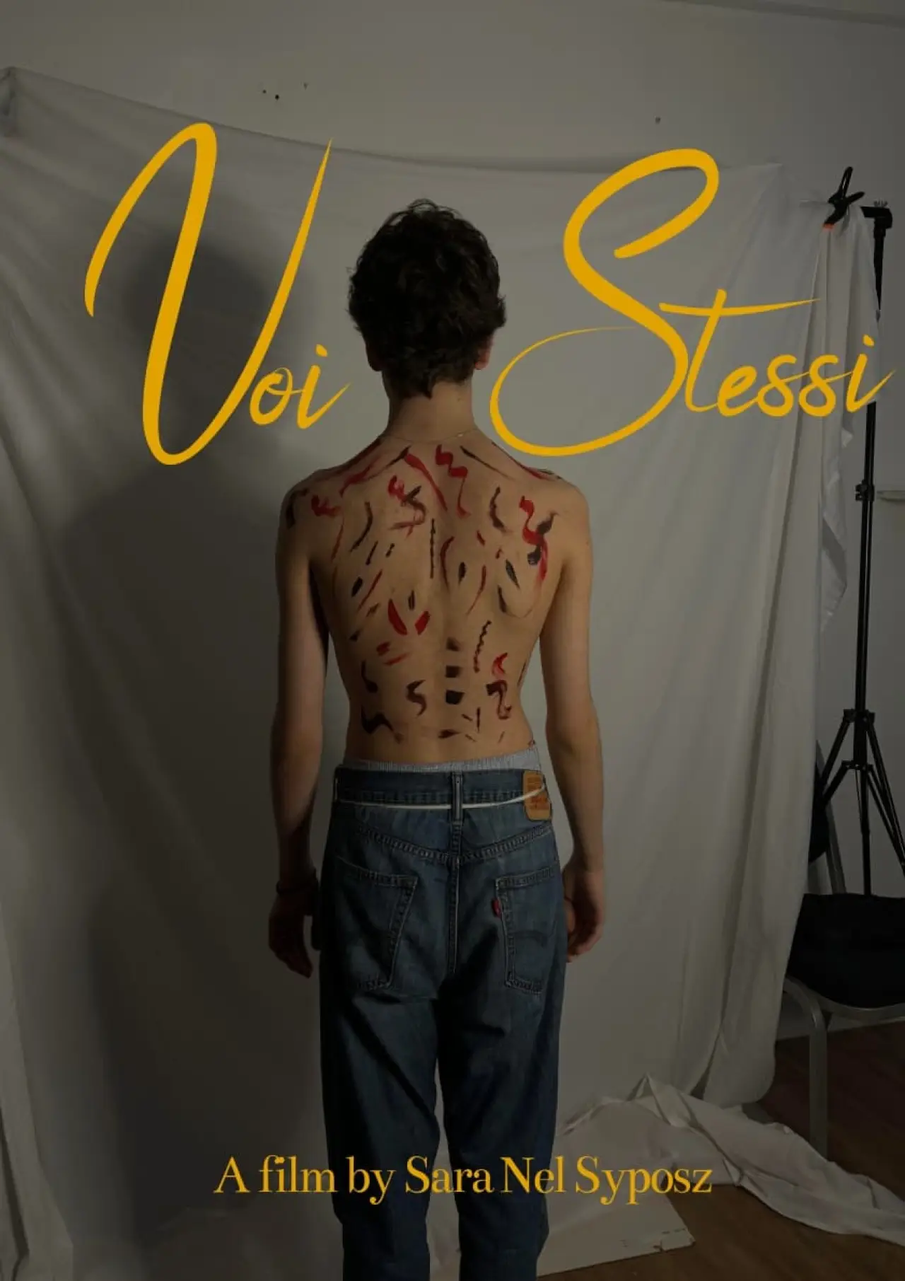Постер к фильму "Voi Stessi"