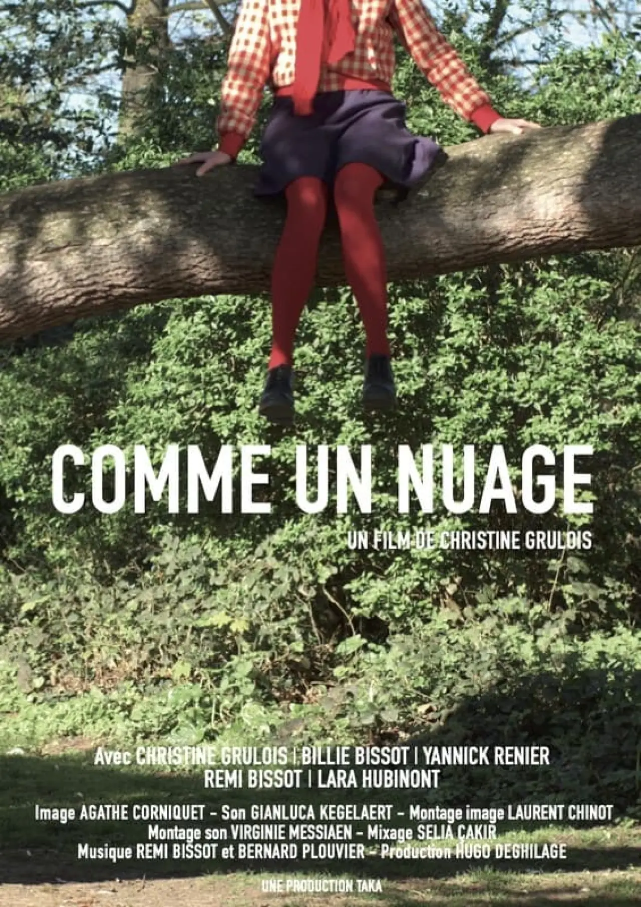 Постер к фильму "Comme un Nuage"