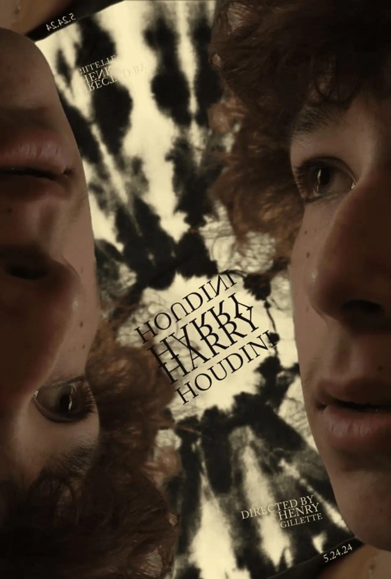 Постер к фильму "Harry Houdini"