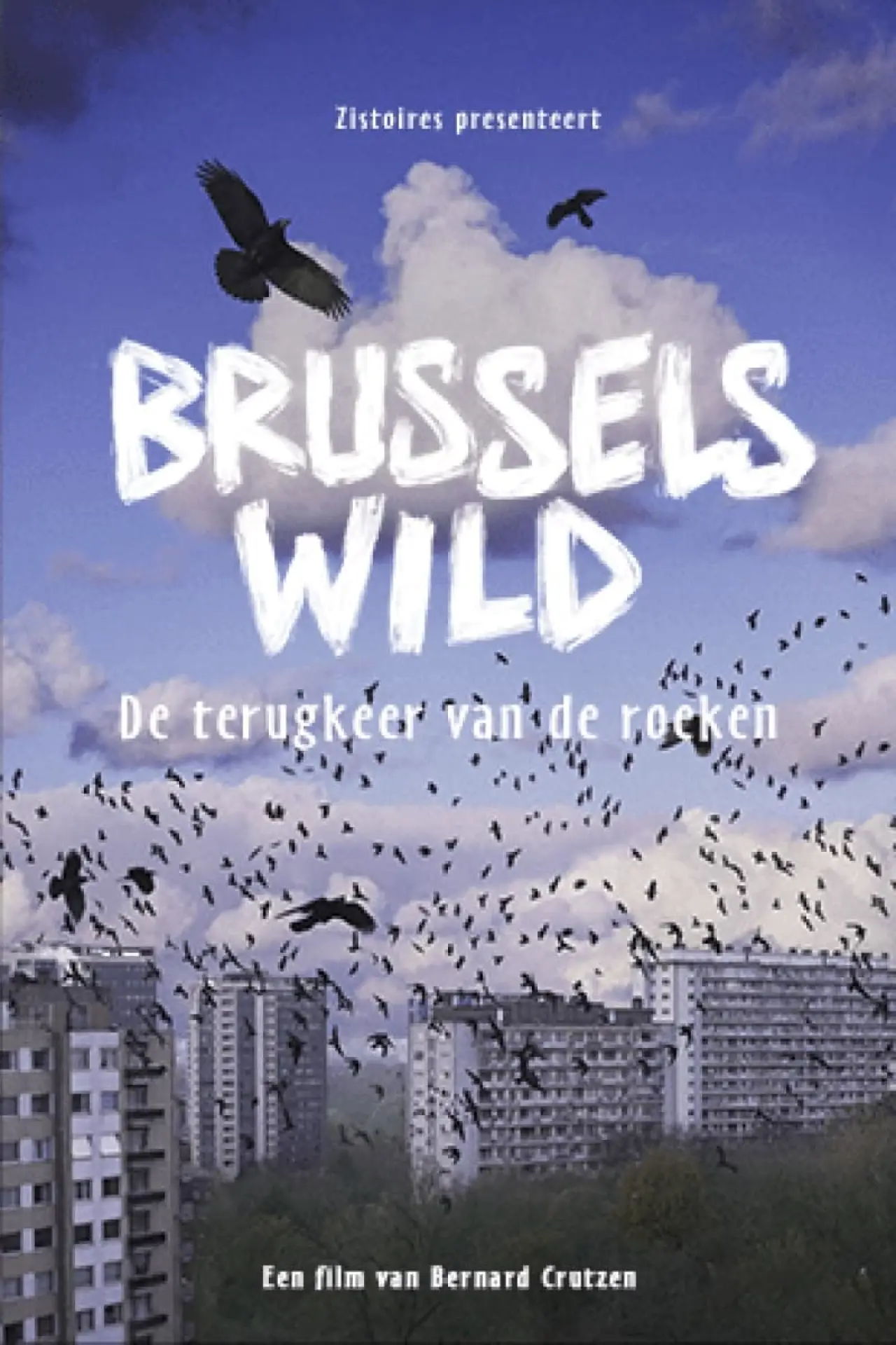Постер к фильму "Bruxelles Sauvage - Le retour des corbeaux"