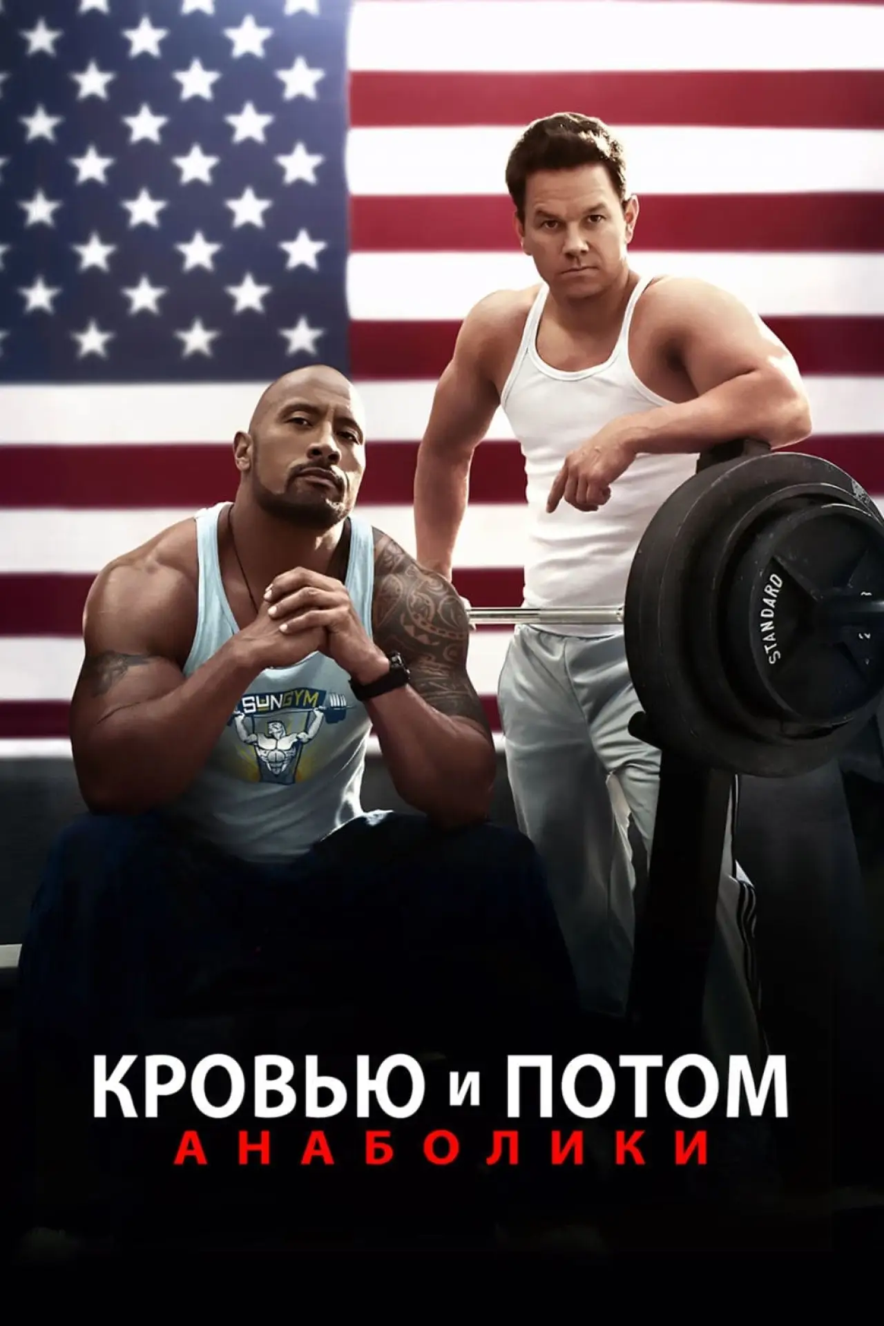 Постер к фильму "Кровью и потом: Анаболики"