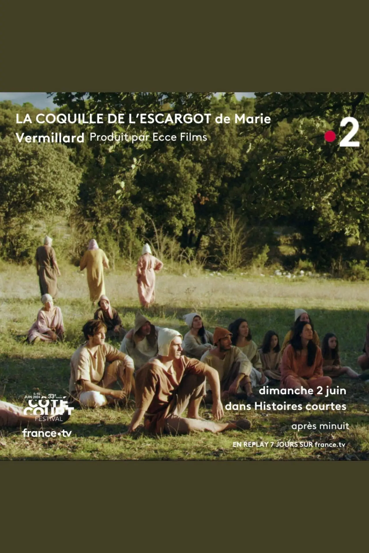 Постер к фильму "La coquille de l