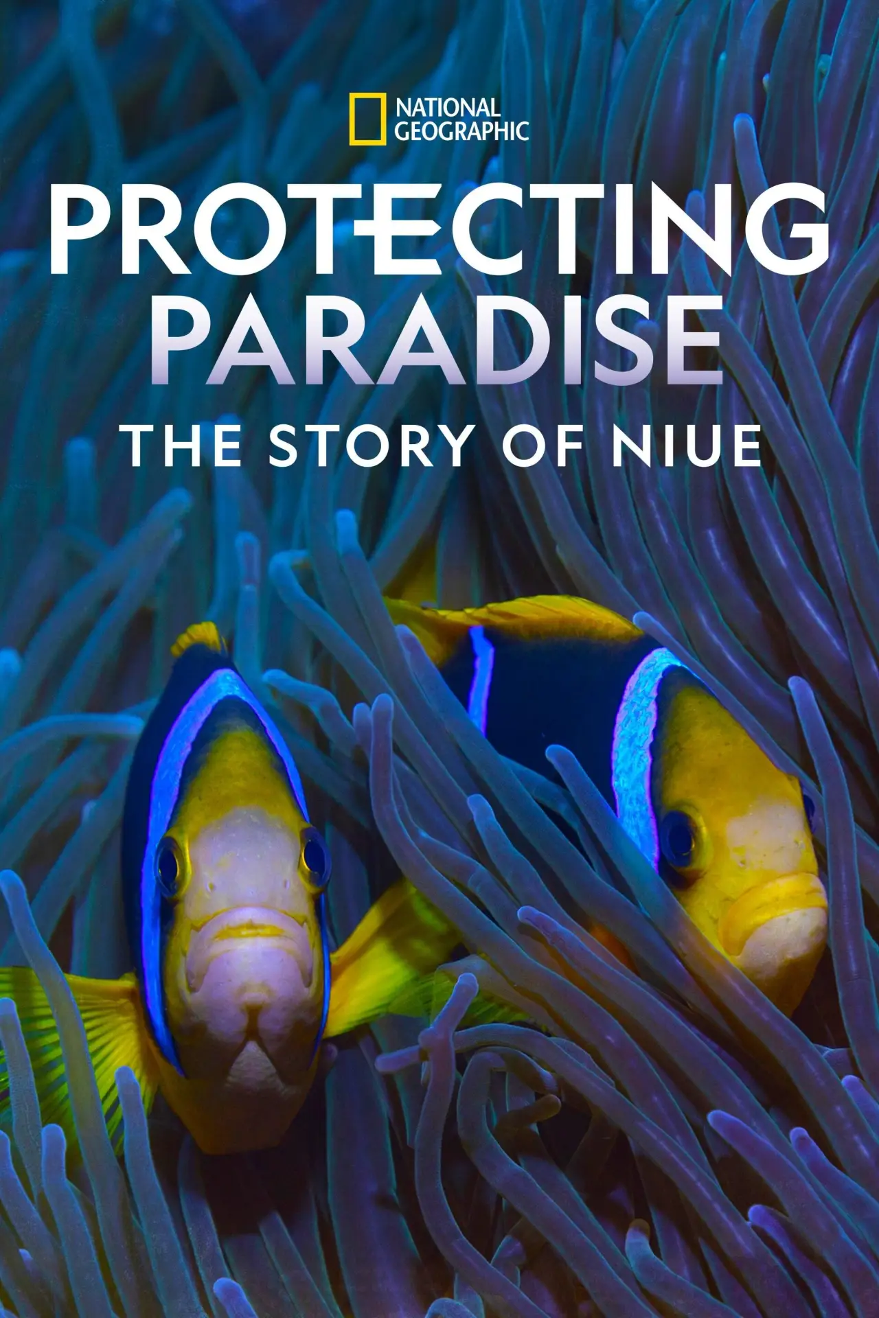 Постер к фильму "Protecting Paradise: The Story of Niue"