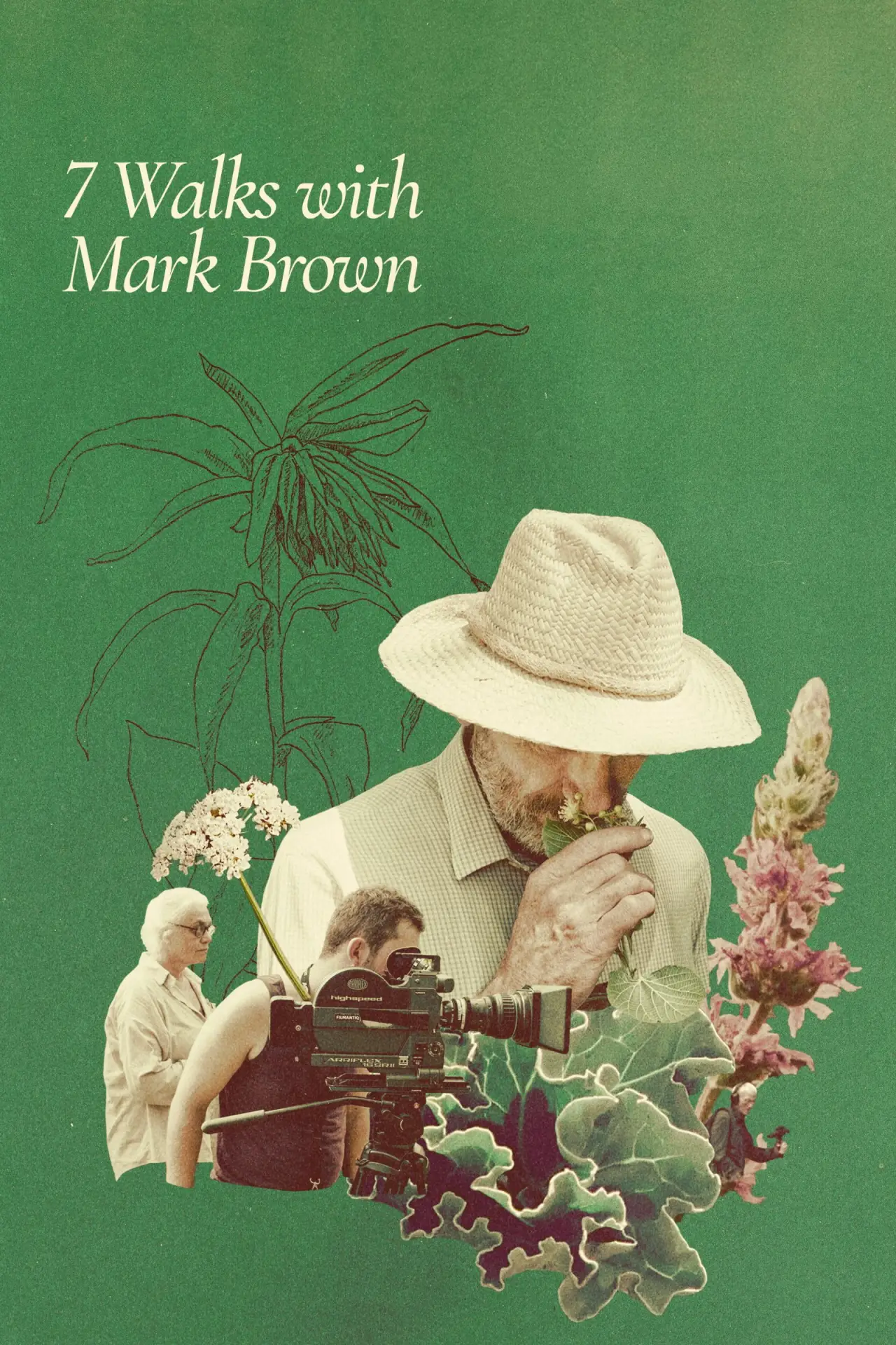 Постер к фильму "Sept promenades avec Mark Brown"