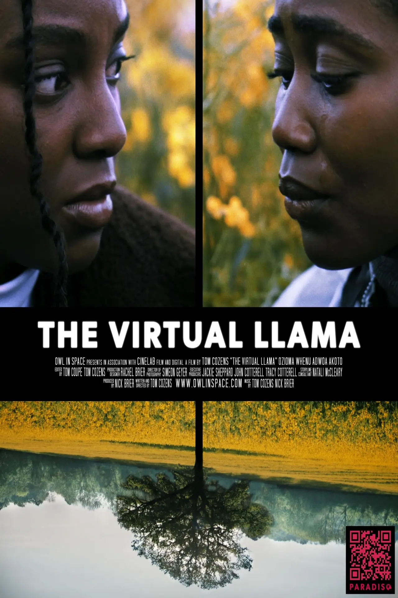 Постер к фильму "The Virtual Llama"