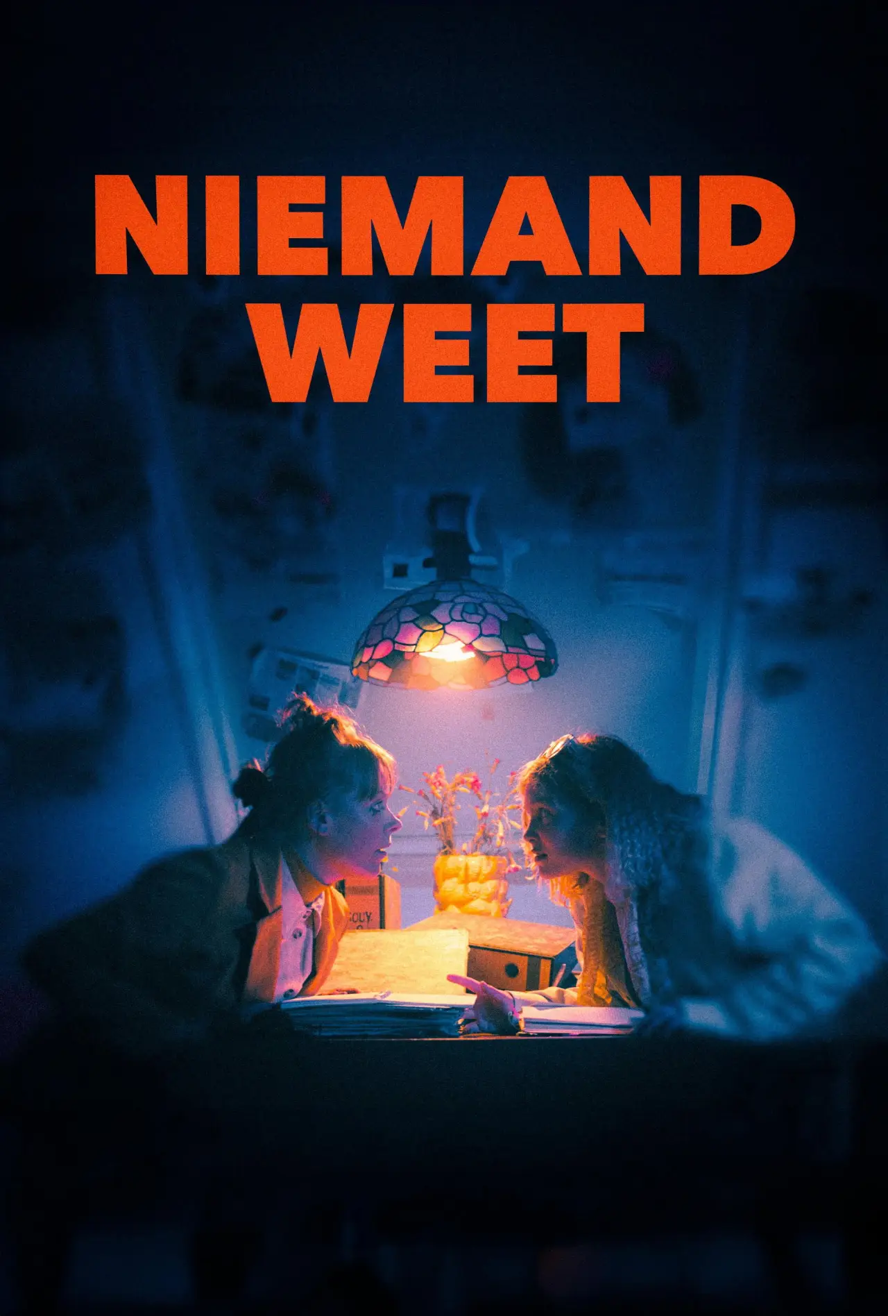 Постер к фильму "Niemand weet"