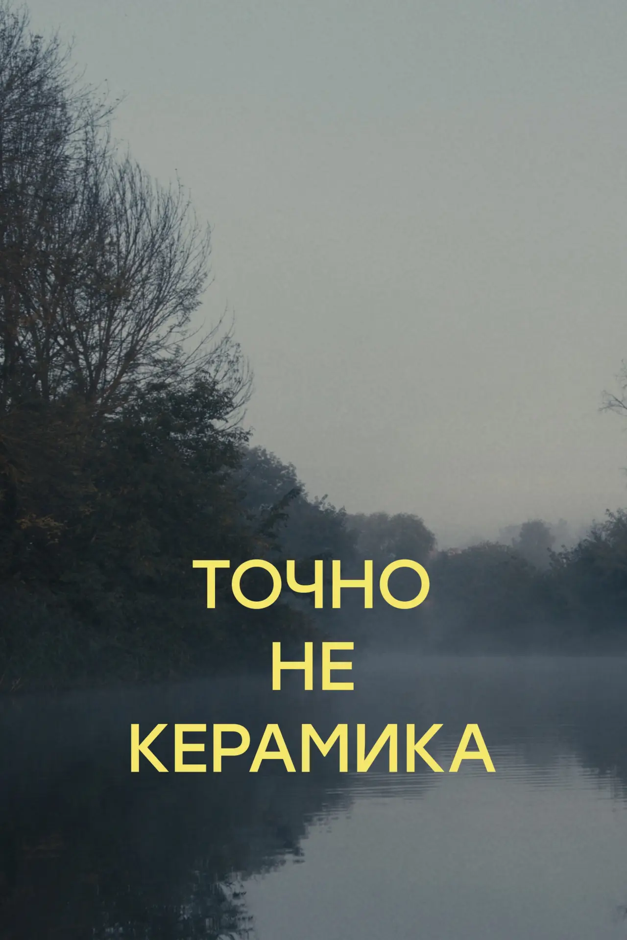 Постер к фильму "Точно не керамика"