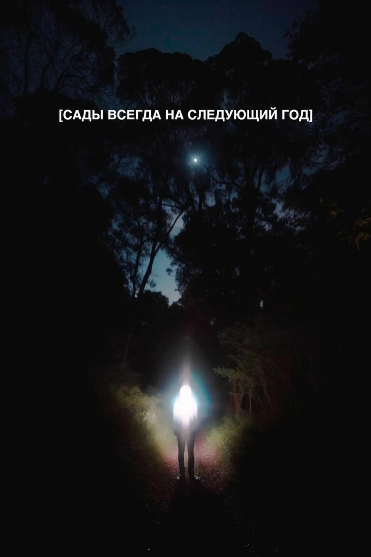 Постер к фильму "Сады всегда на следующий год"