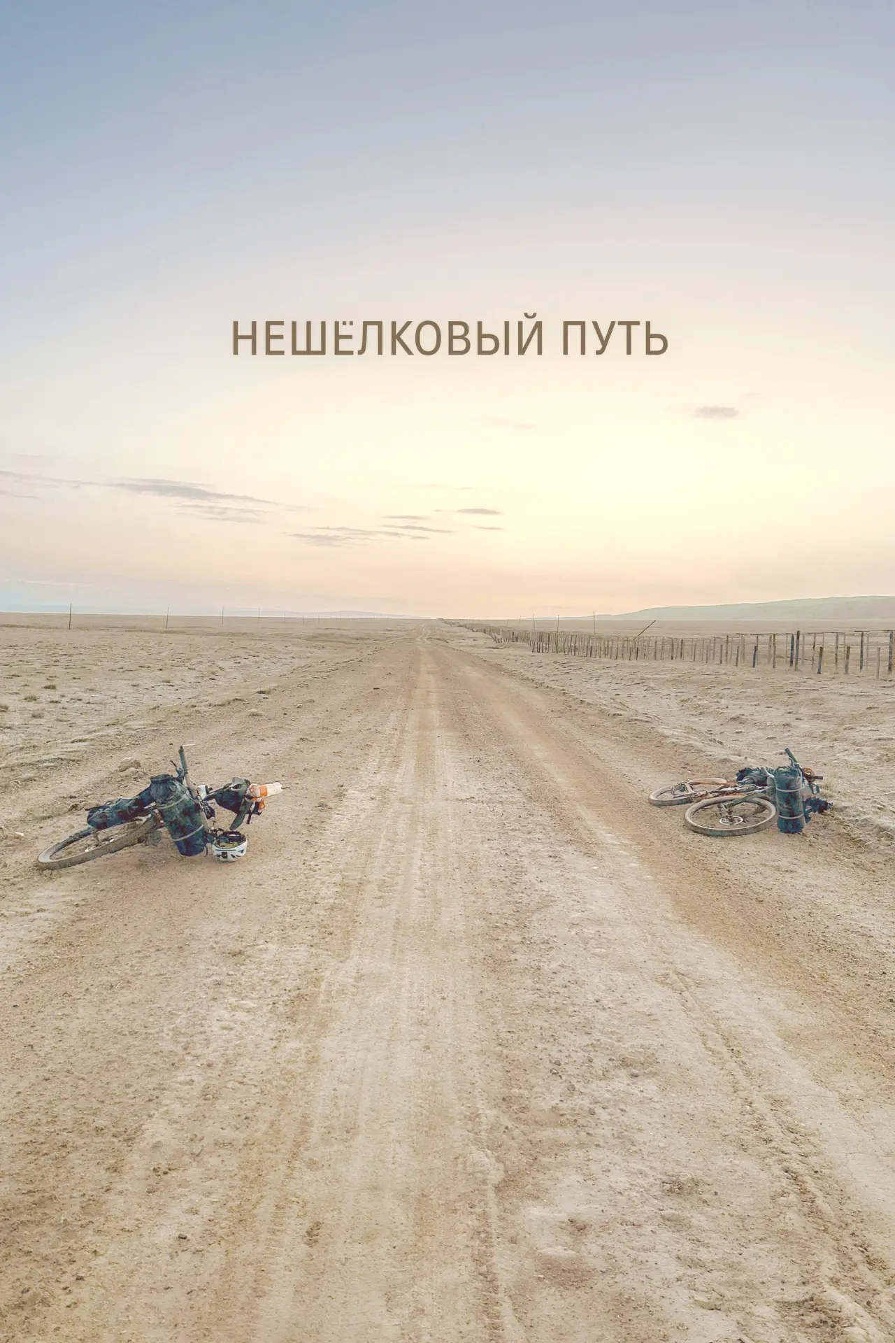 Постер к фильму "Нешёлковый путь"