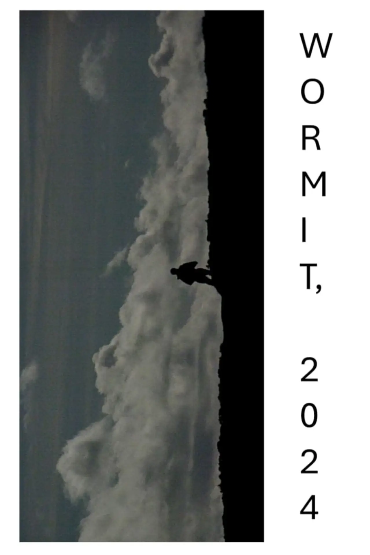 Постер к фильму "WORMIT, 2024"