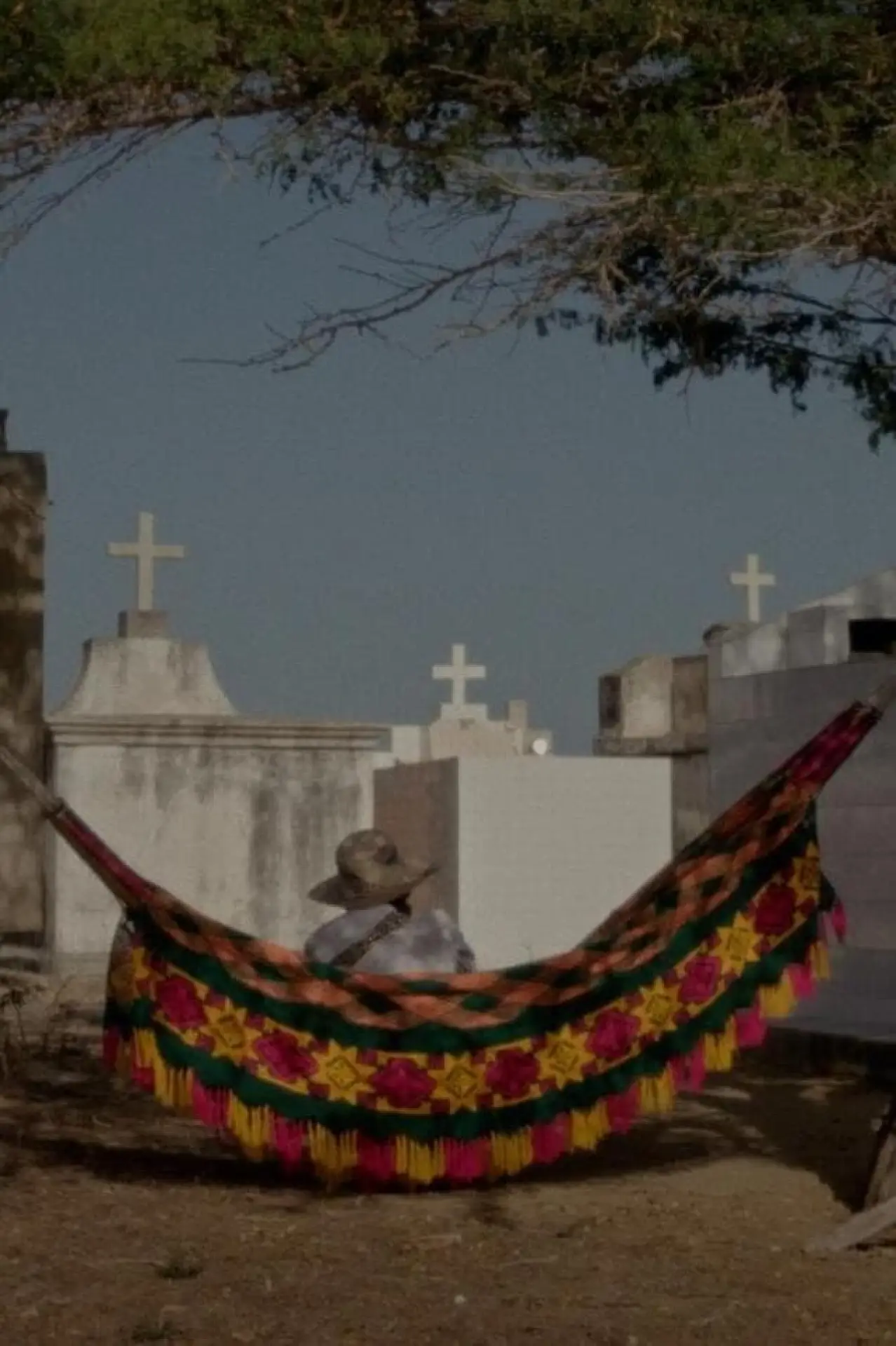 Постер к фильму "Los sueños viajan con el viento"
