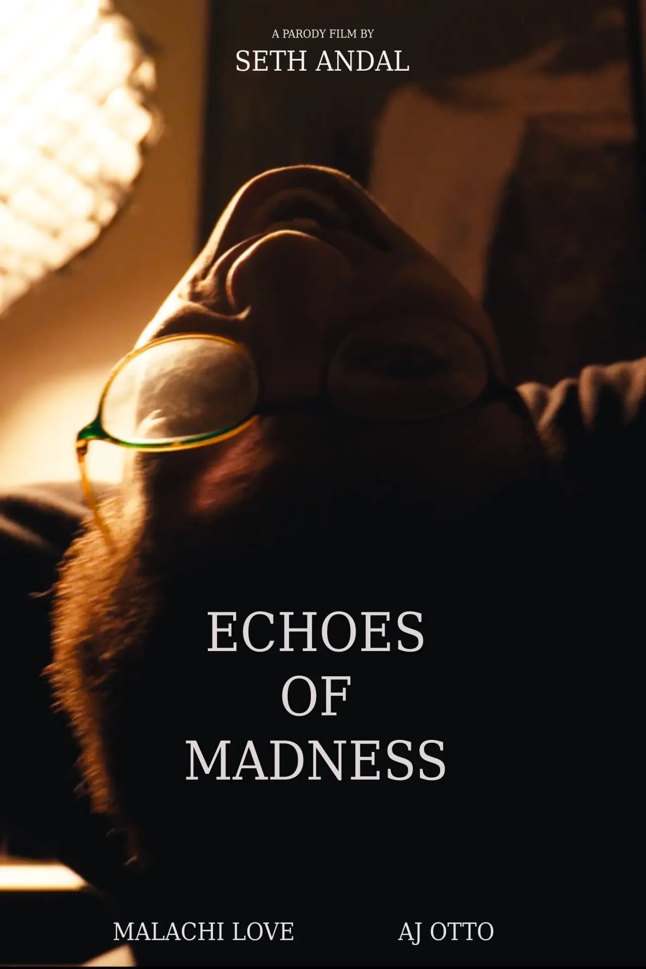 Постер к фильму "Echoes of Madness"