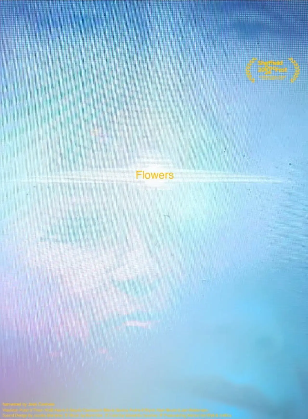 Постер к фильму "Flores"