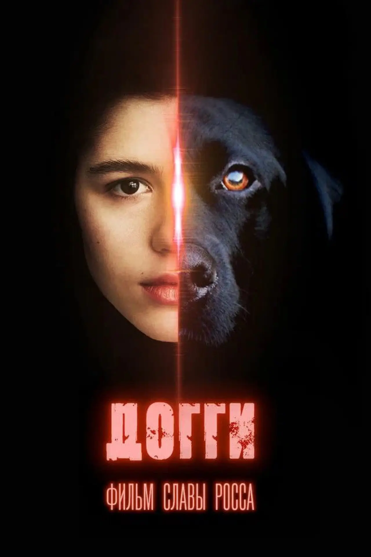 Постер к фильму "Догги"