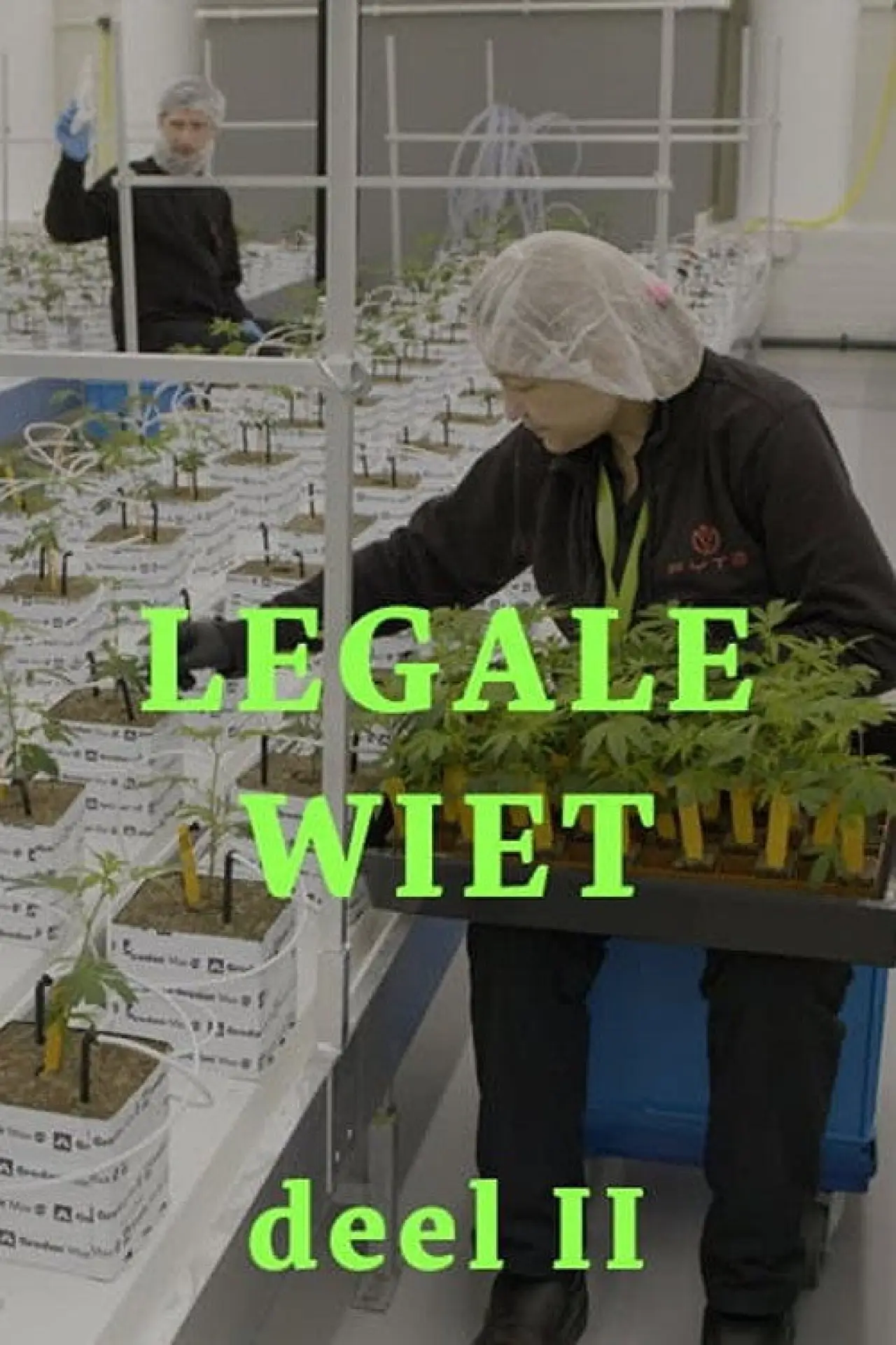 Постер к фильму "Legale wiet 2"