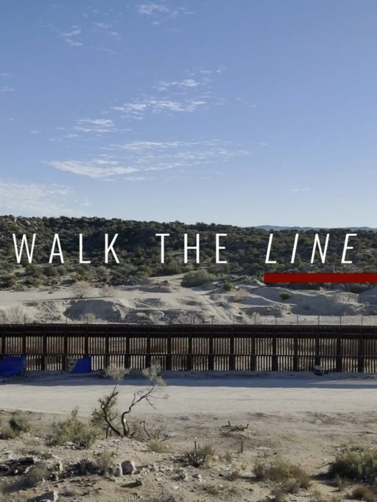 Постер к фильму "Walk The Line"