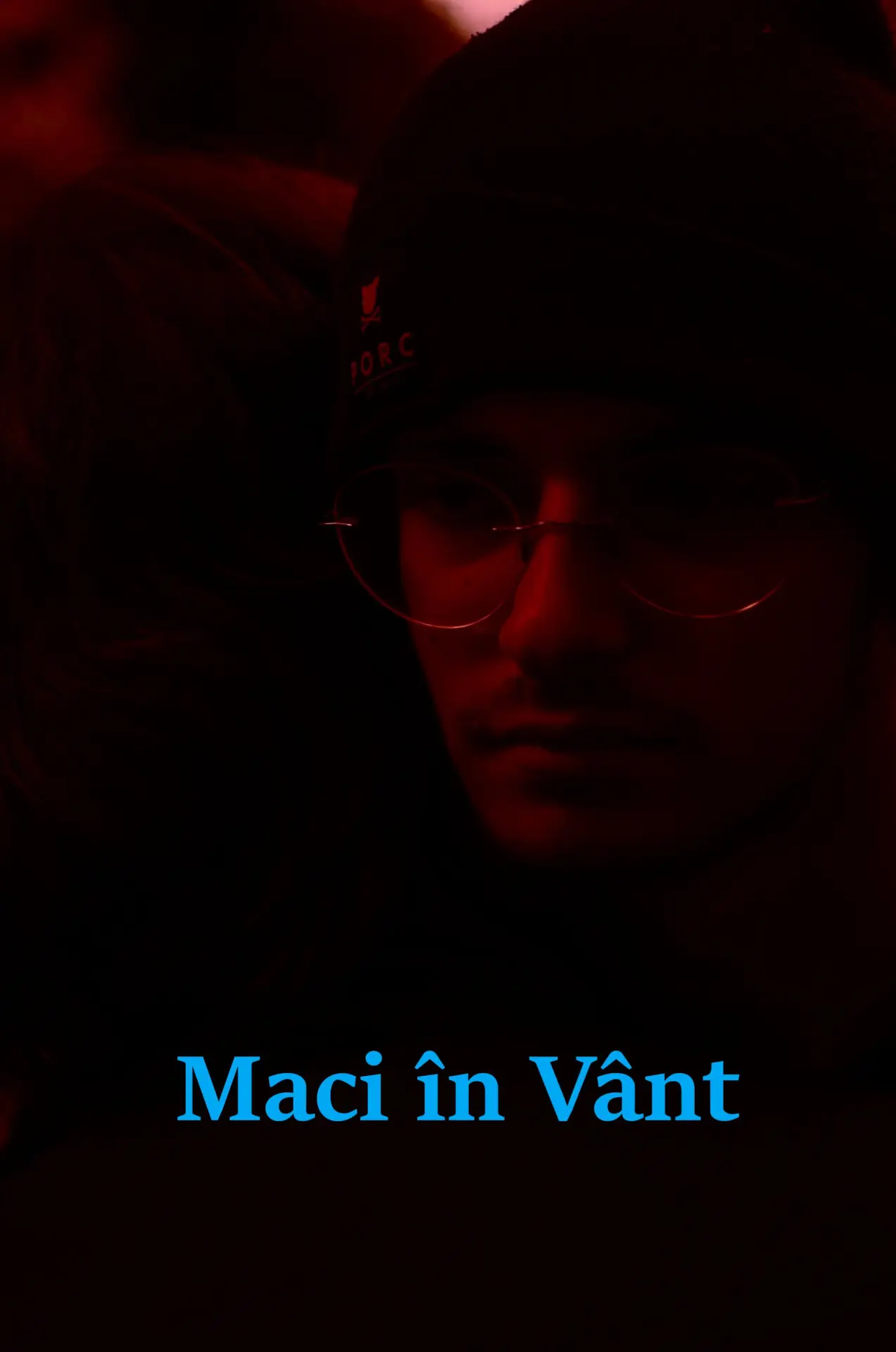 Постер к фильму "Maci în Vânt"