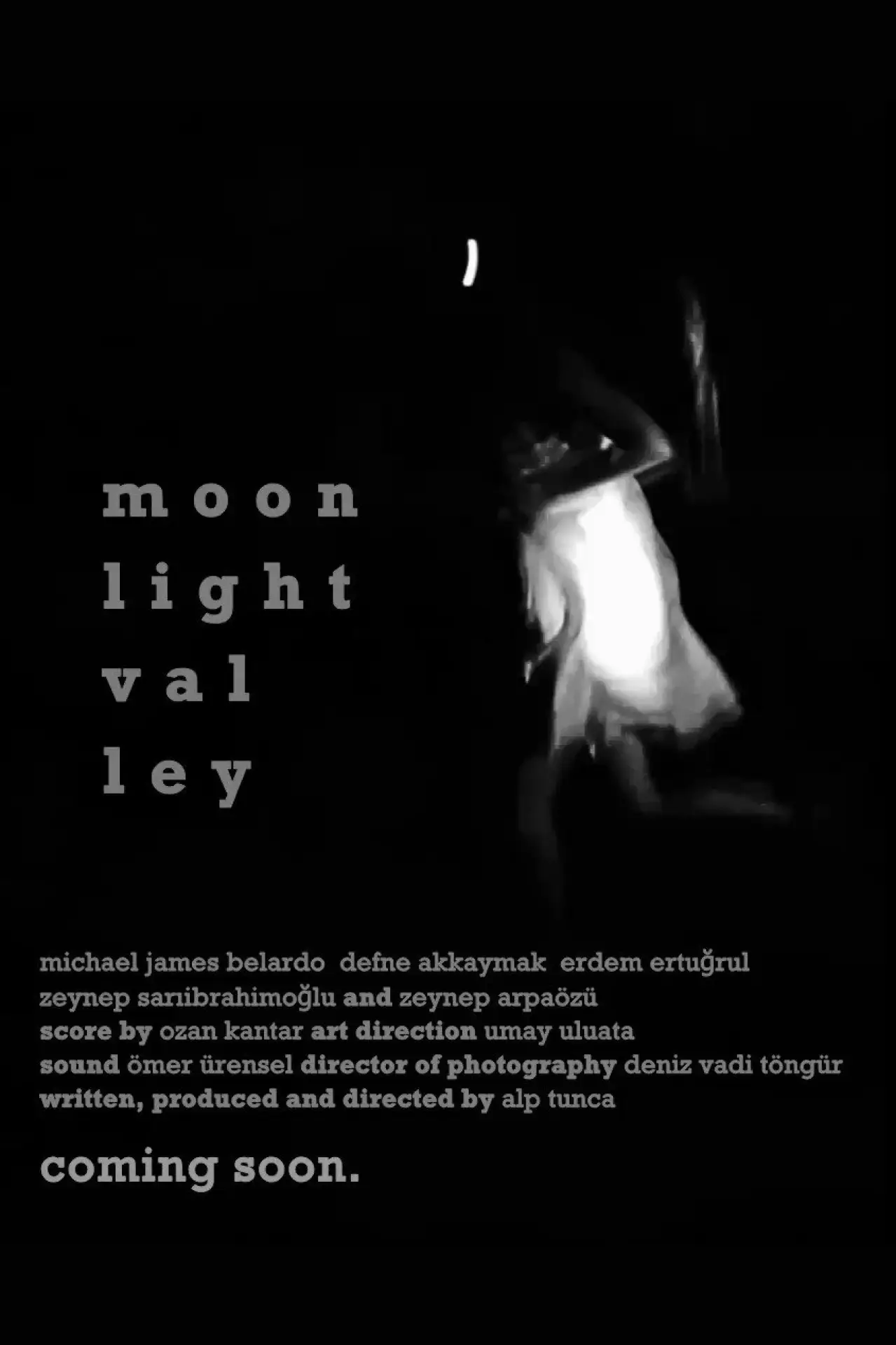 Постер к фильму "Moonlight Valley"