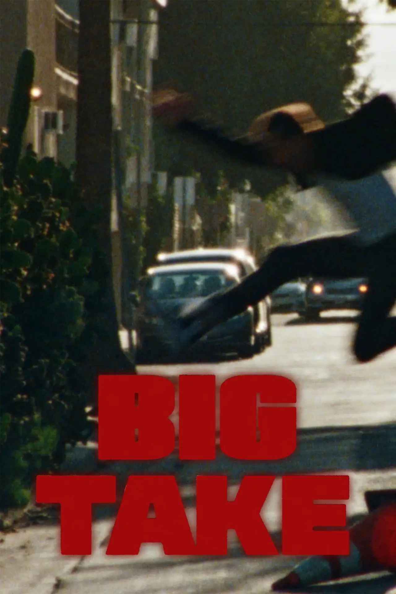 Постер к фильму "Big Take"