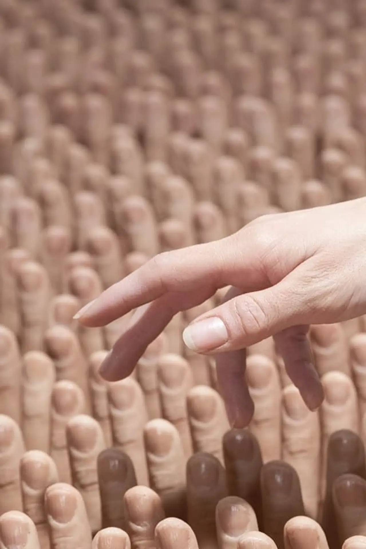 Постер к фильму "The Finger Rub Rug"