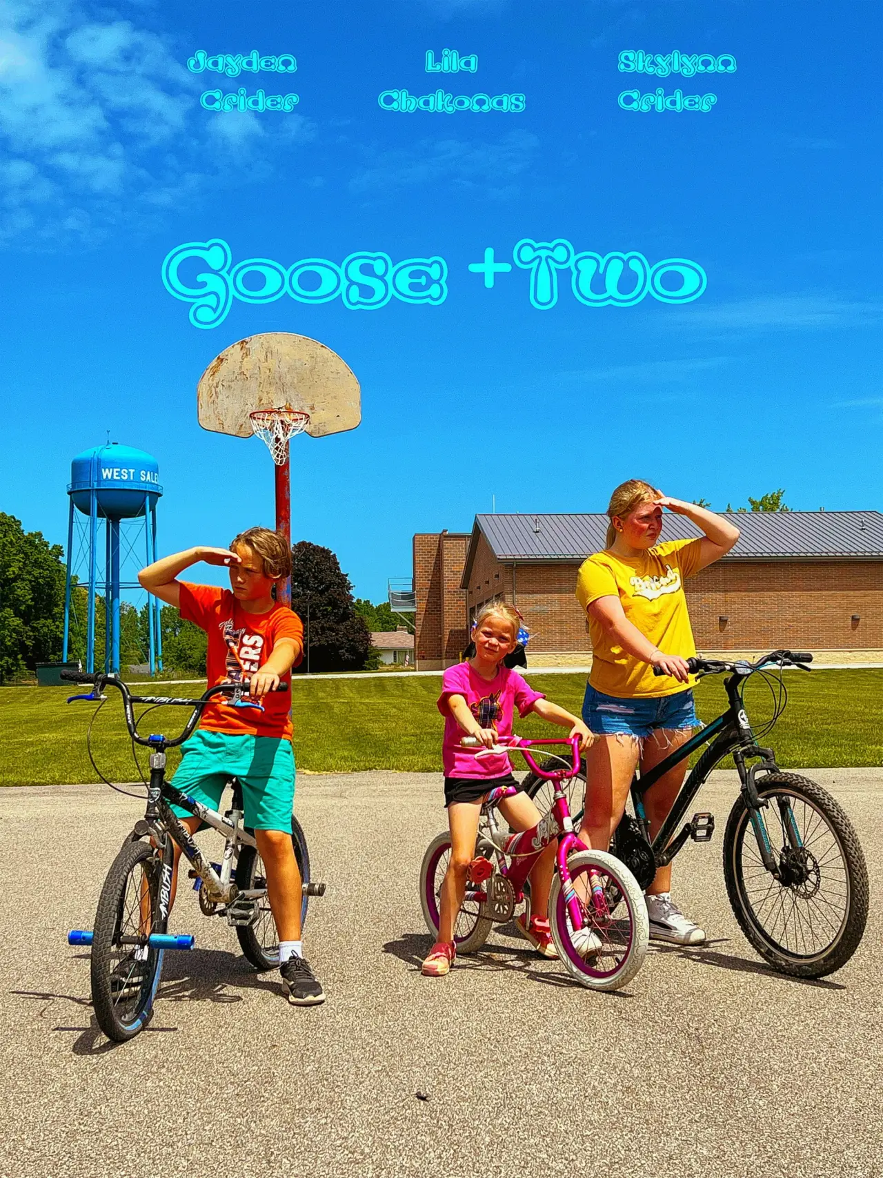 Постер к фильму "Goose + 2"