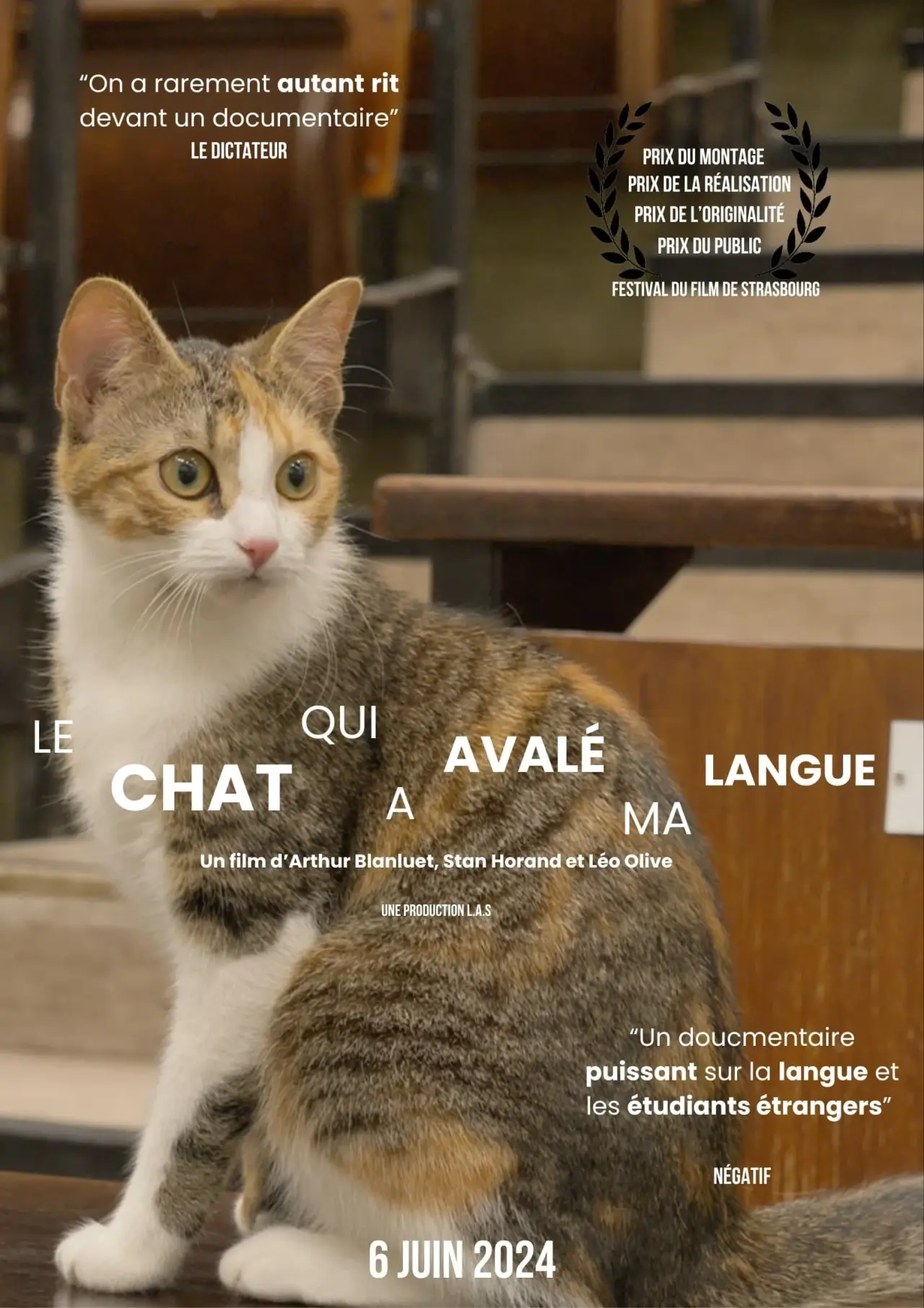 Постер к фильму "Le Chat qui a Avalé ma Langue"