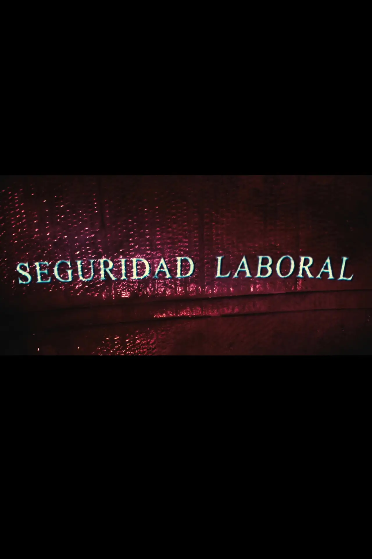 Постер к фильму "Seguridad Laboral"